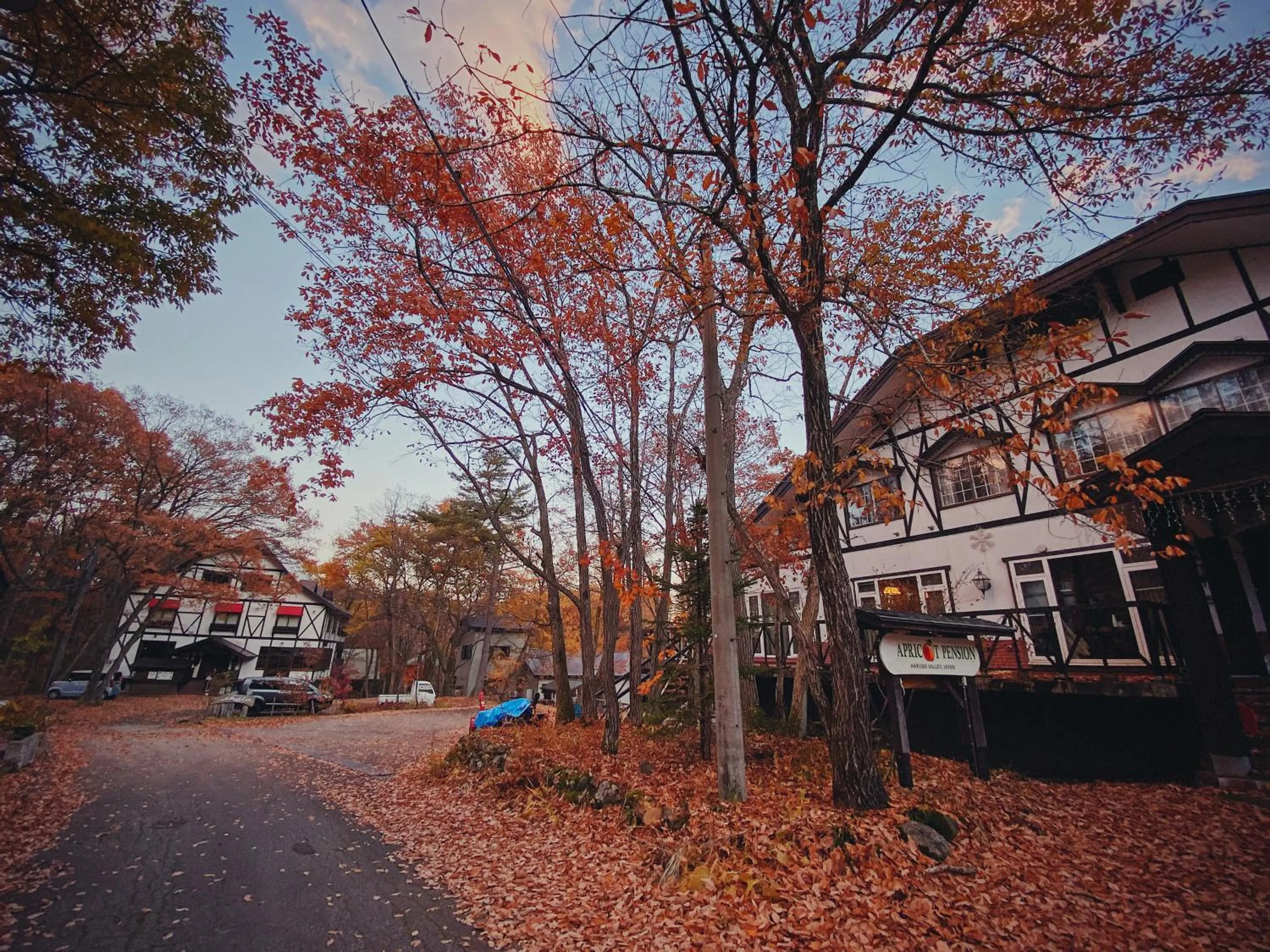 Property building in Apricot Pension