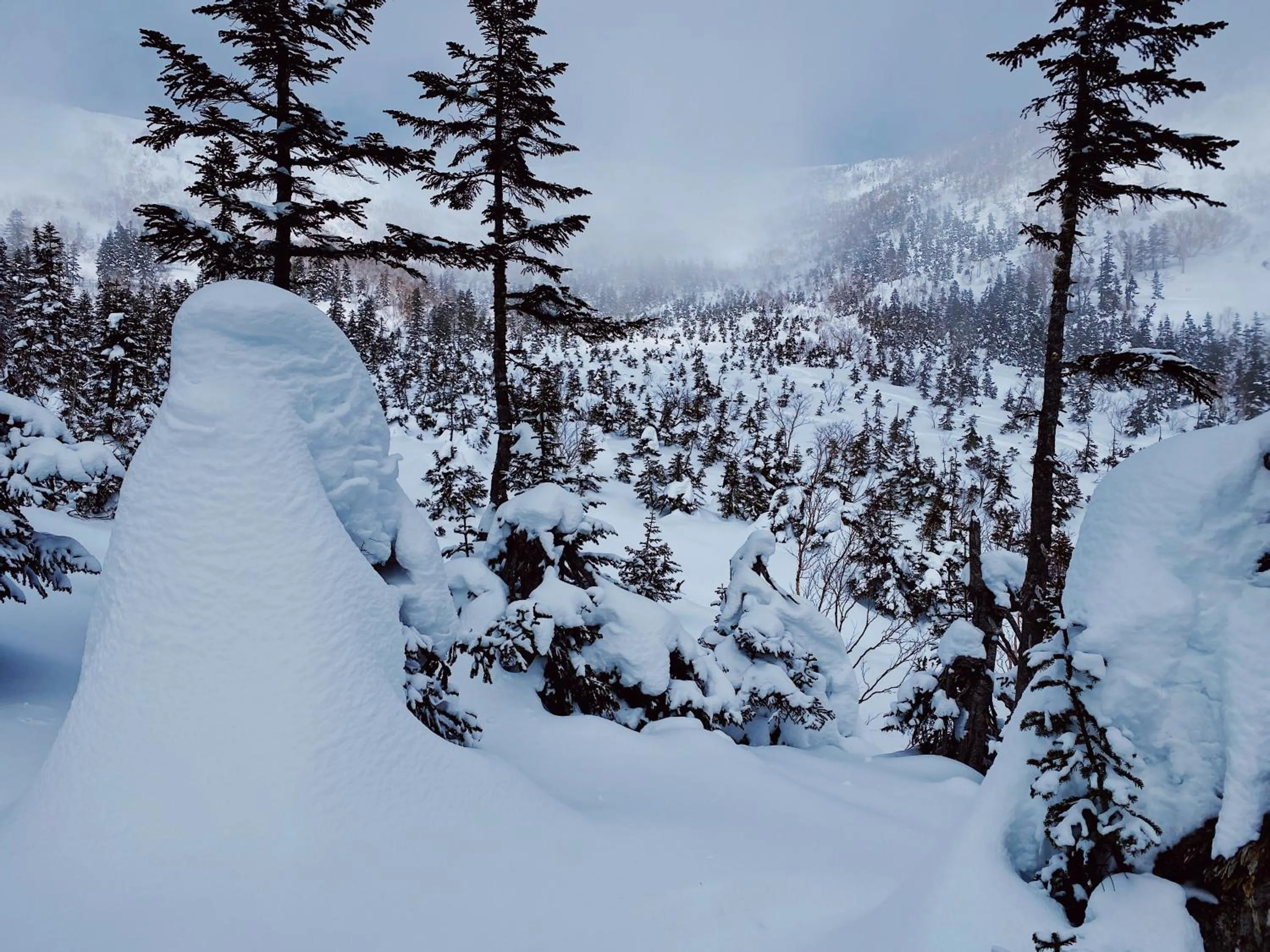 Winter in Apricot Pension