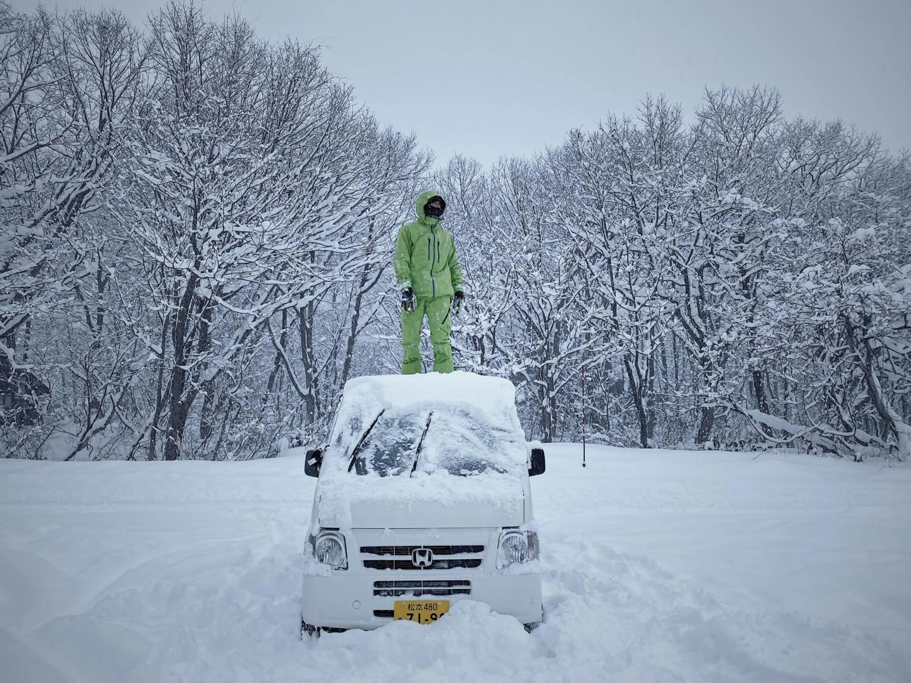 People in Apricot Pension