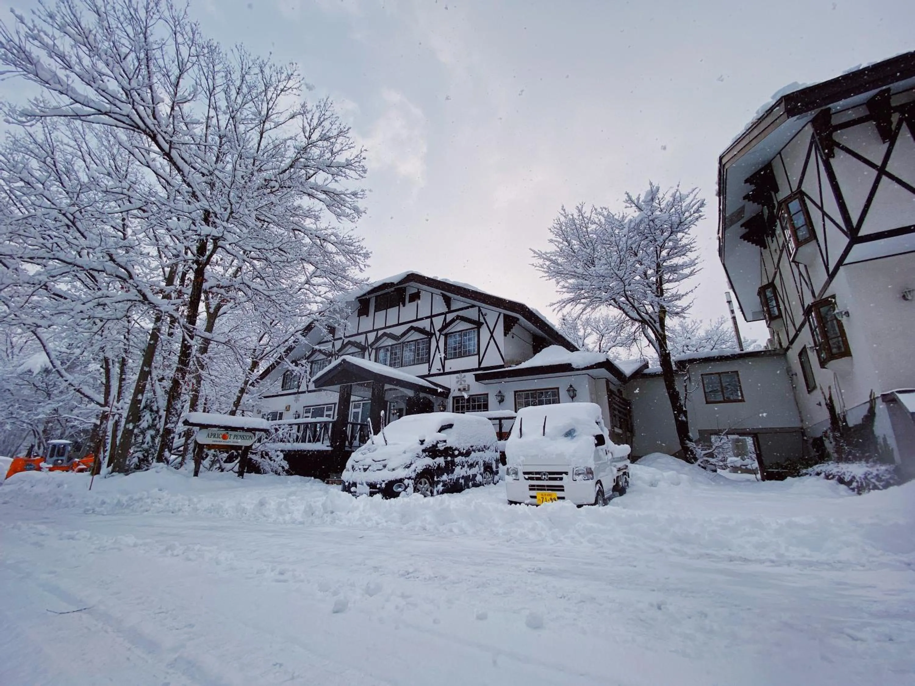 Property building in Apricot Pension