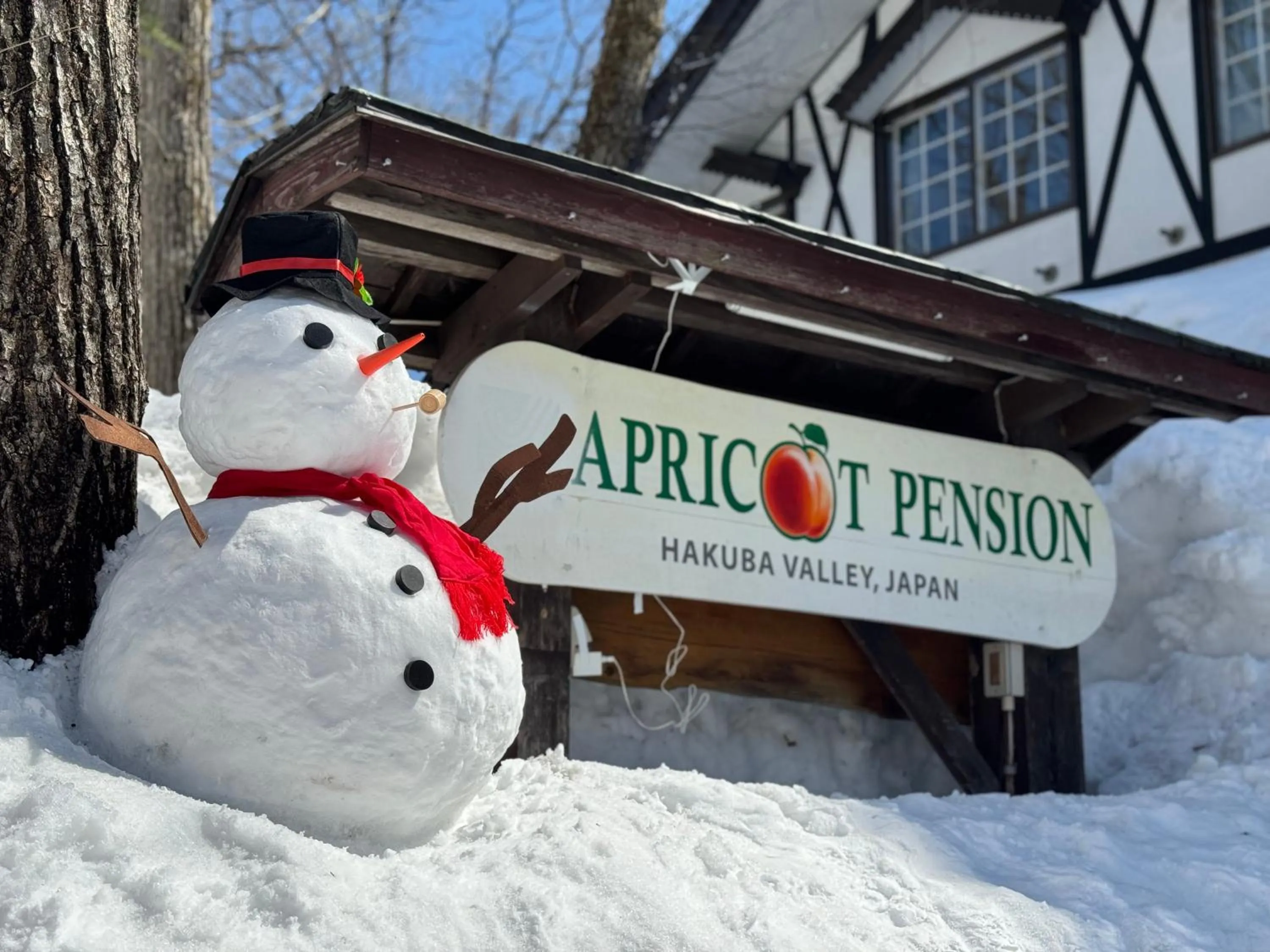 Property building in Apricot Pension