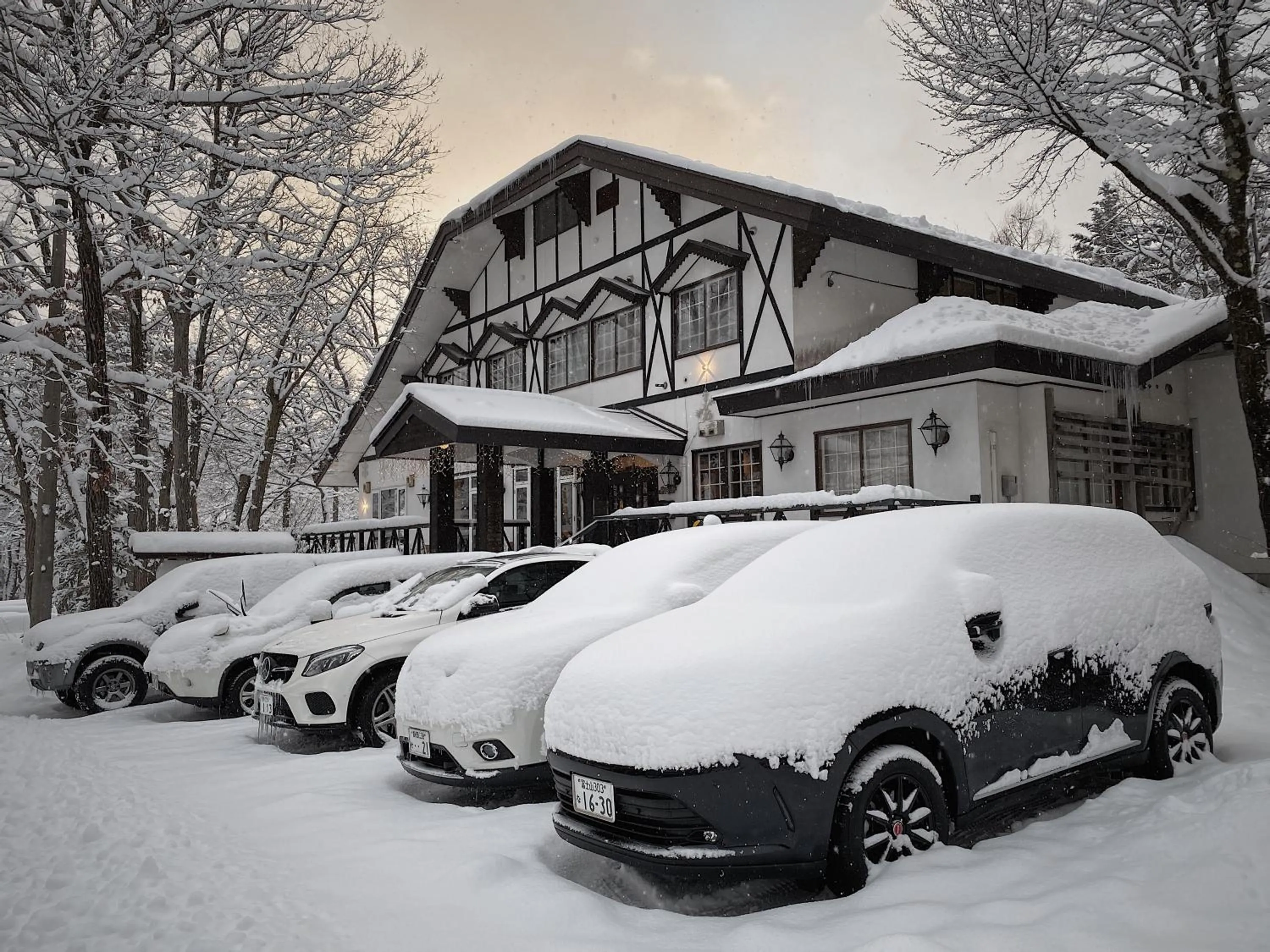 Winter in Apricot Pension