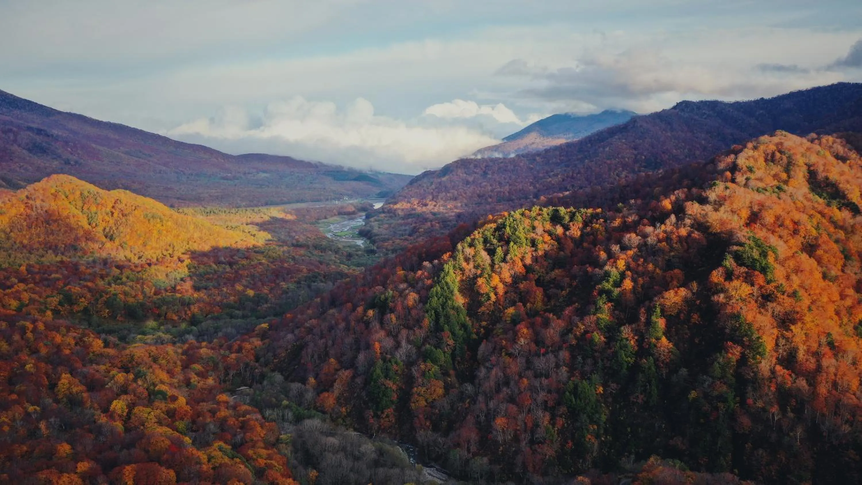 Natural landscape in Apricot Pension