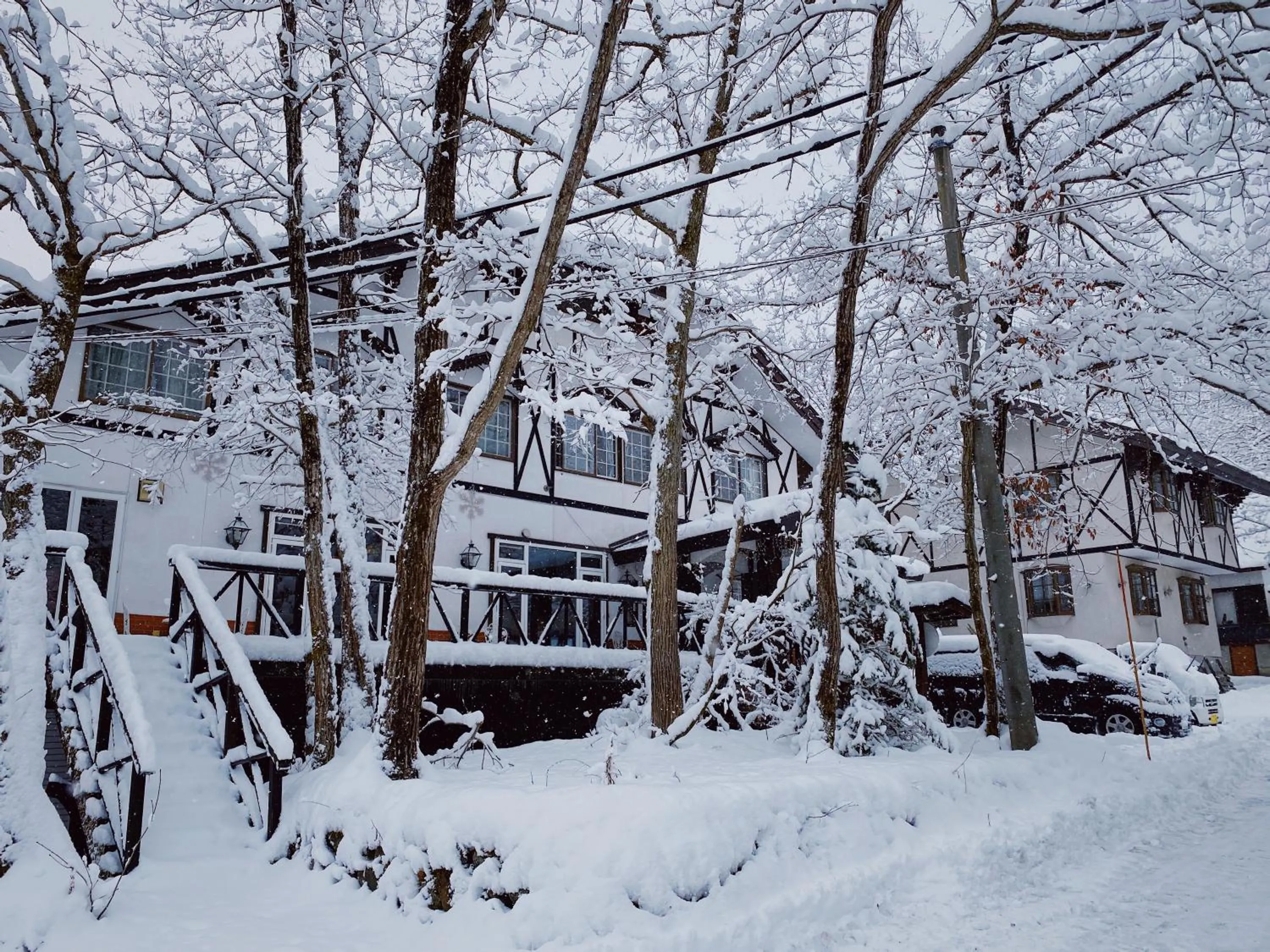 Property building in Apricot Pension