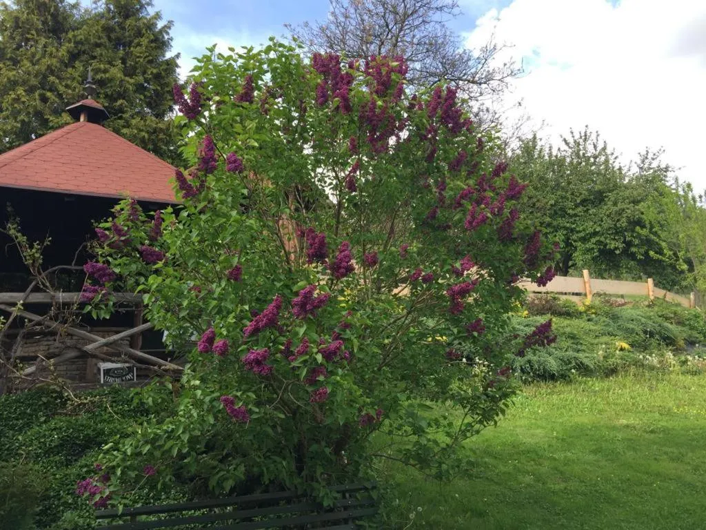 BBQ facilities in U Janka