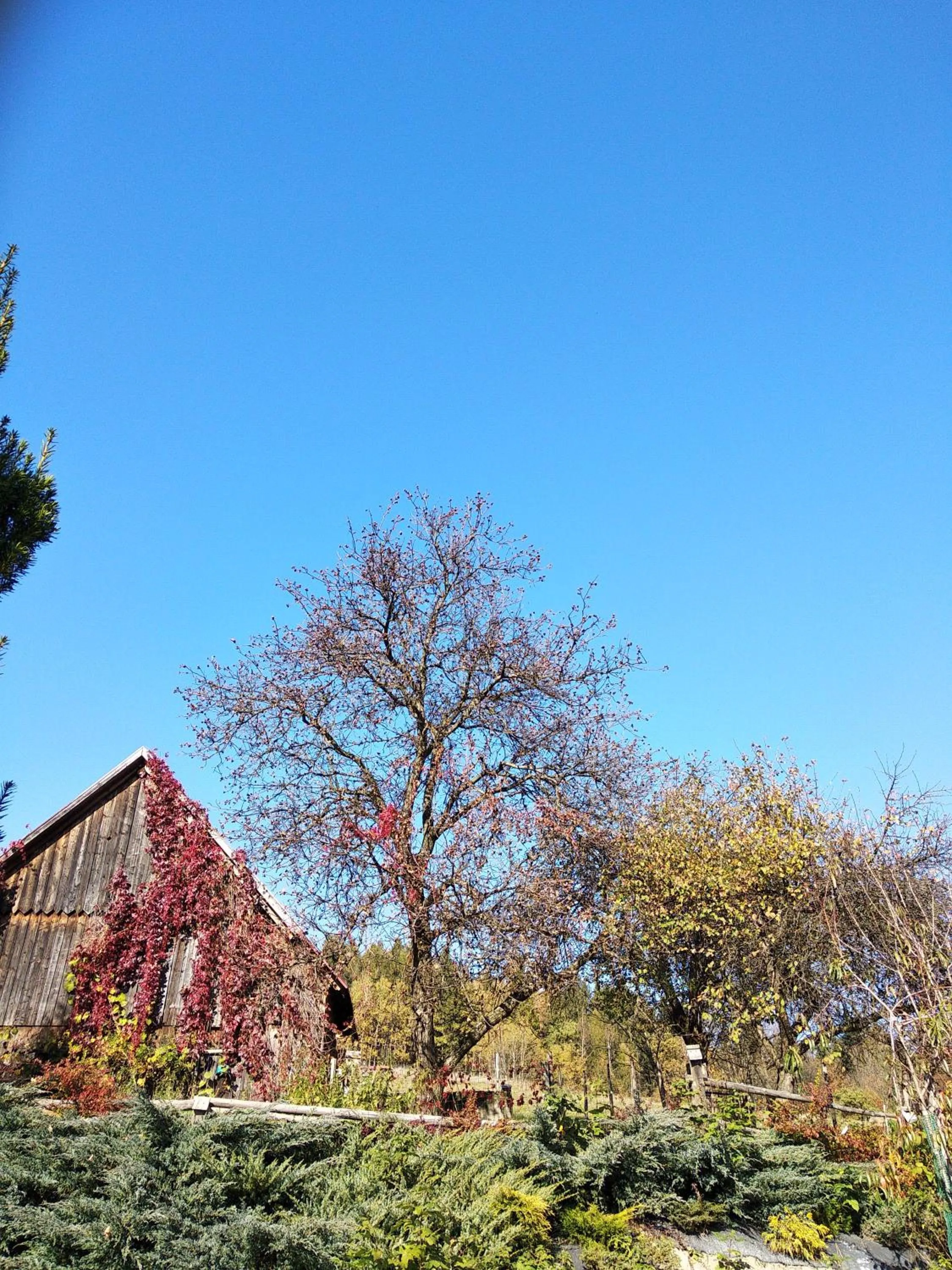 Property building in U Janka