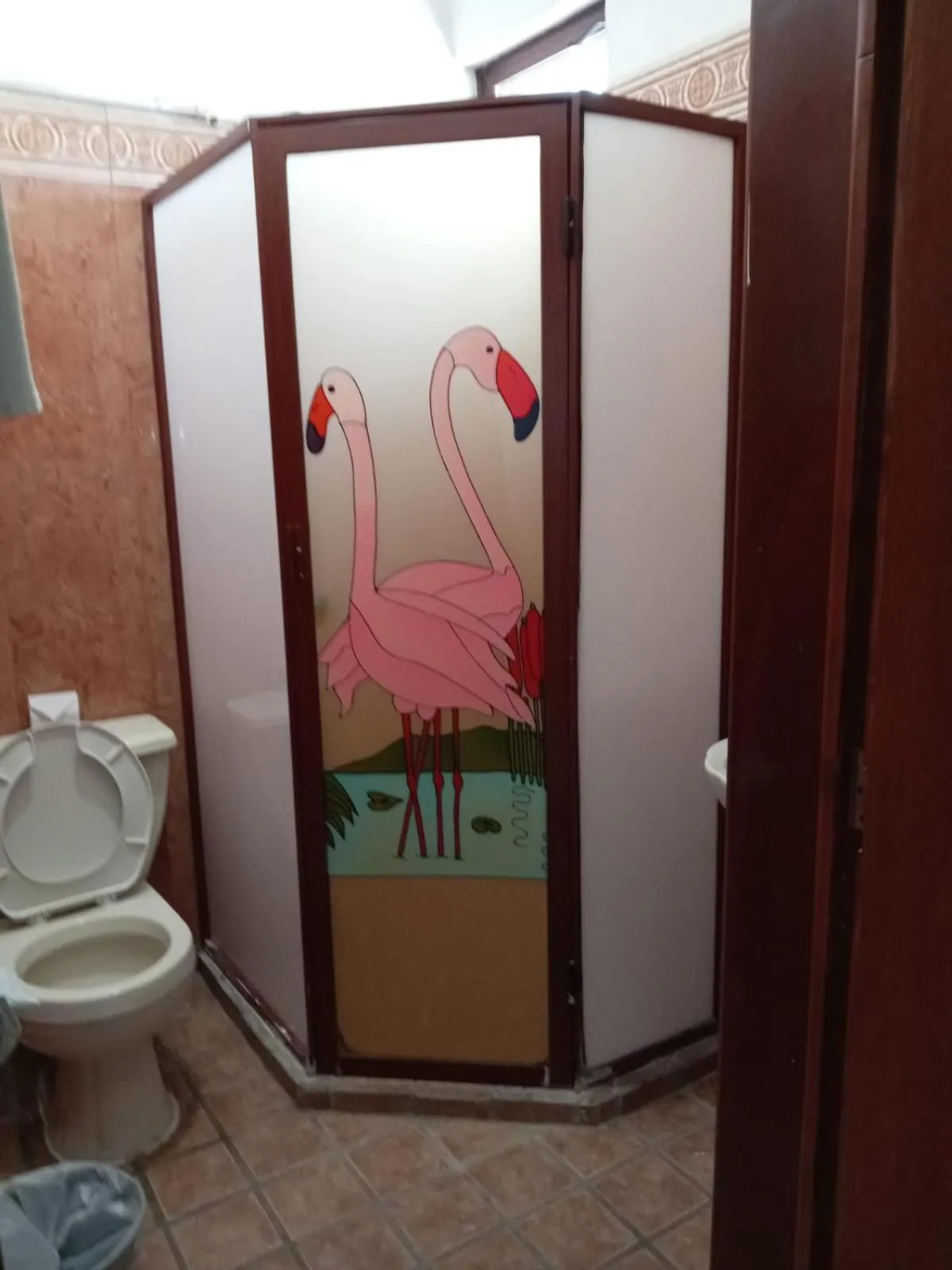 Shower in Hotel Colonos Los Cabos