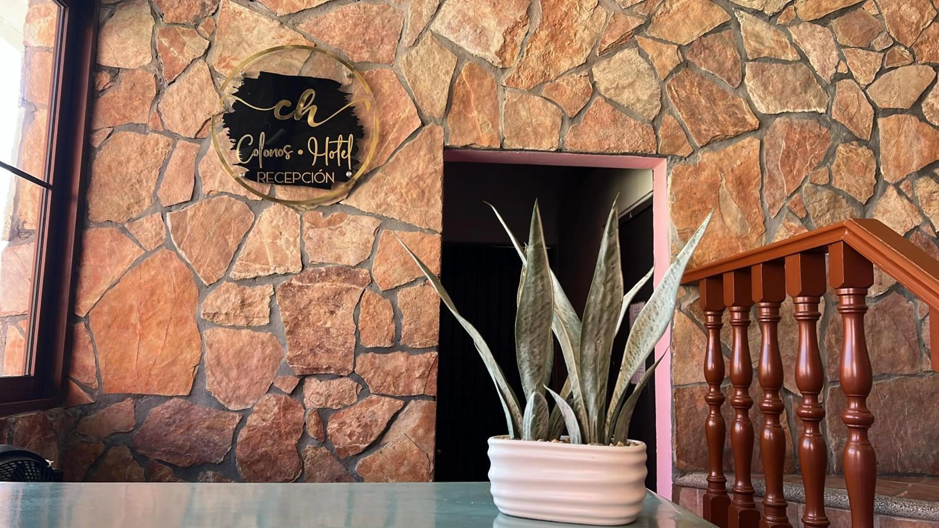 Property logo or sign in Hotel Colonos Los Cabos