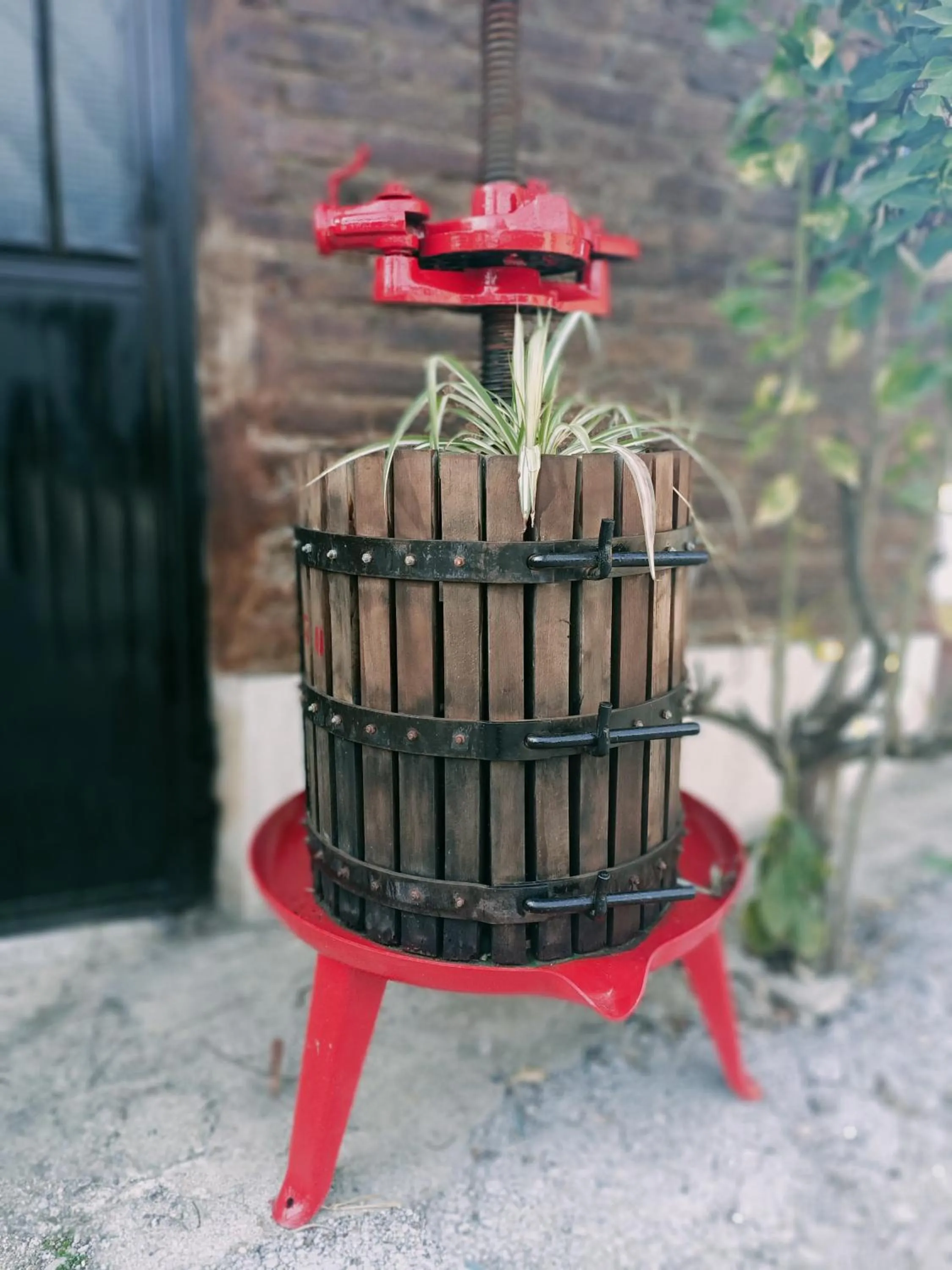 Decorative detail in La casa sul tetto, Room's & Glamping