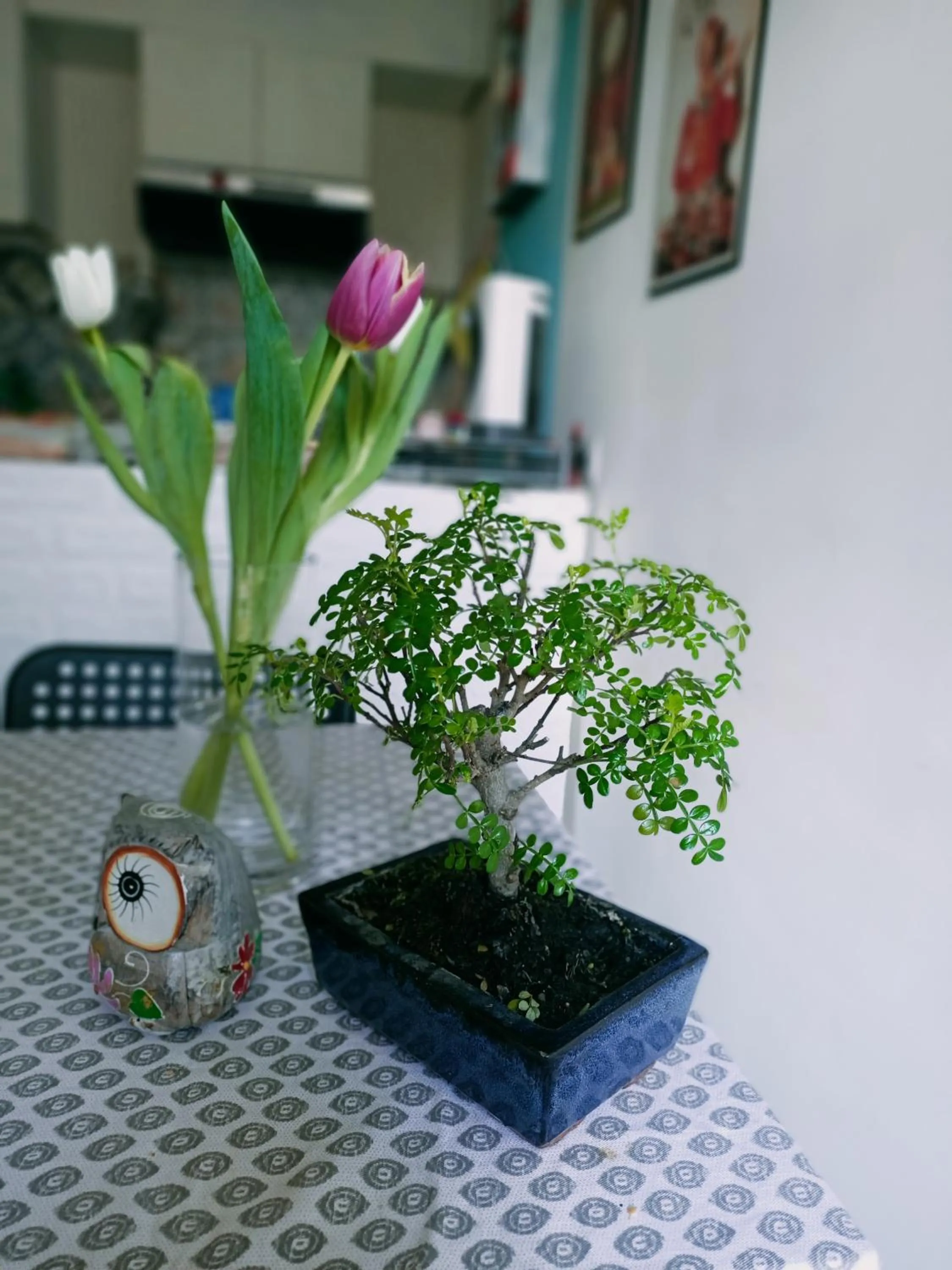 Decorative detail in La casa sul tetto, Room's & Glamping