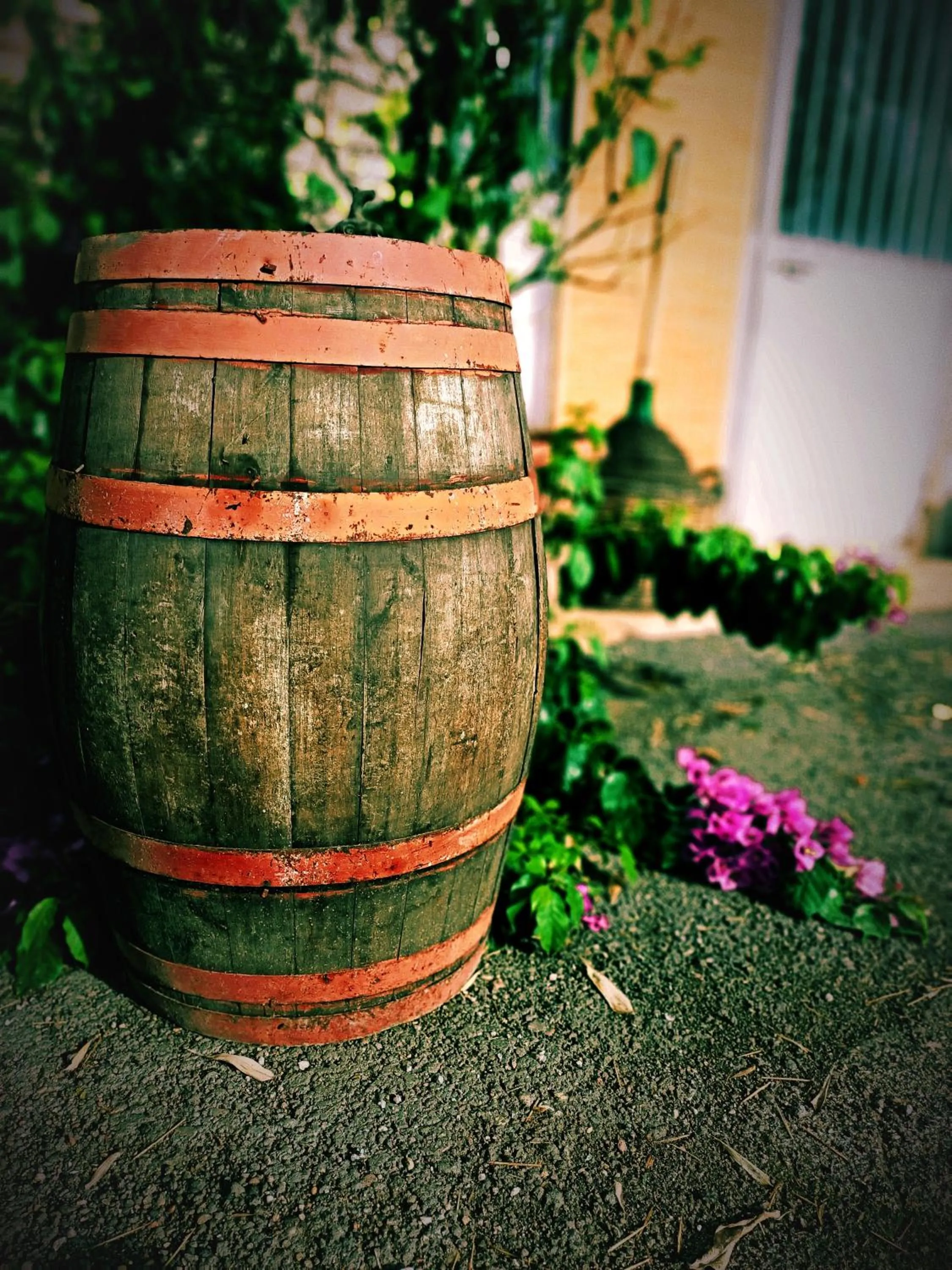 Natural landscape in La casa sul tetto, Room's & Glamping