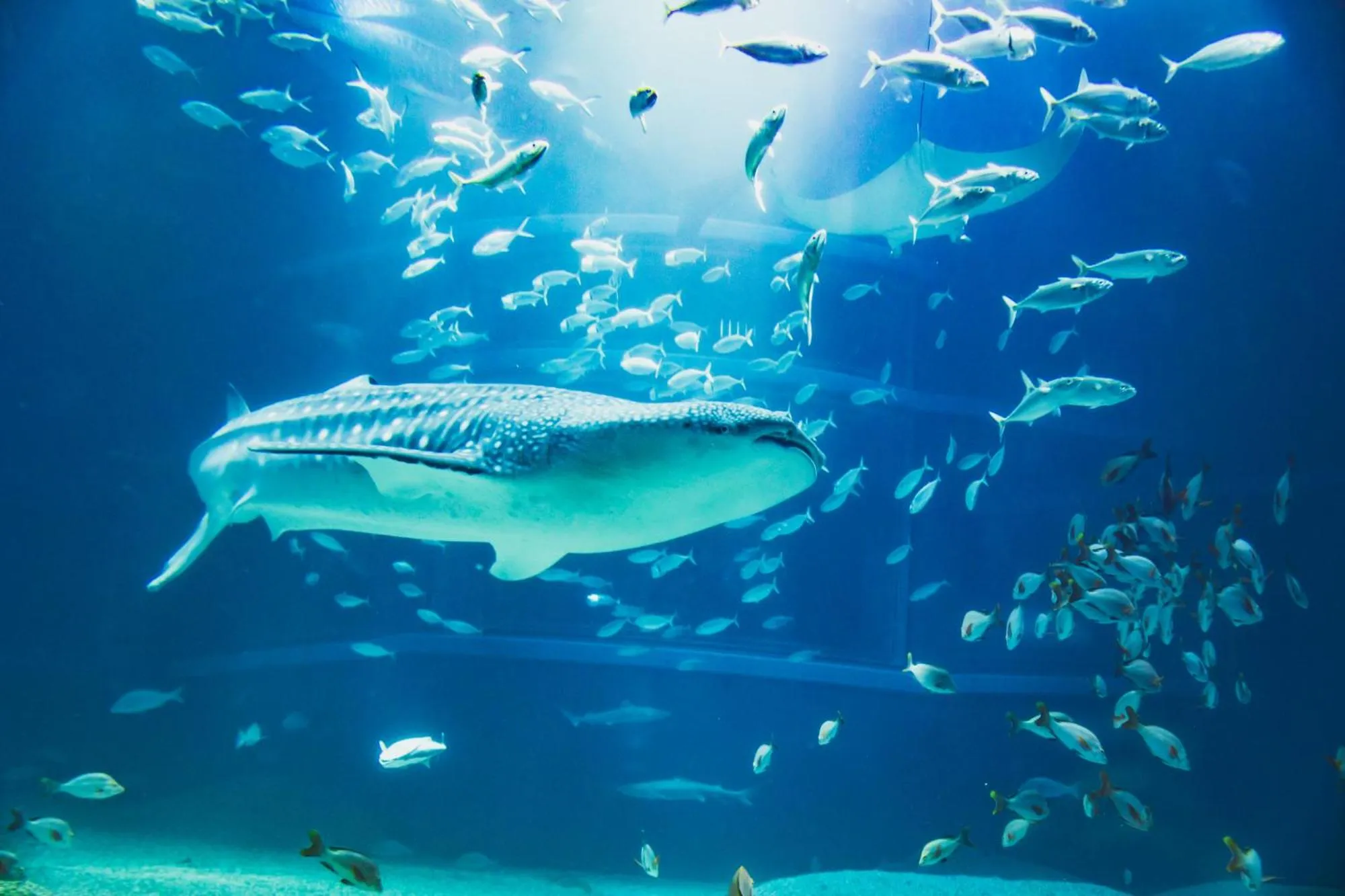 Nearby landmark in Tabist Unihotel Midosuji Hommachi