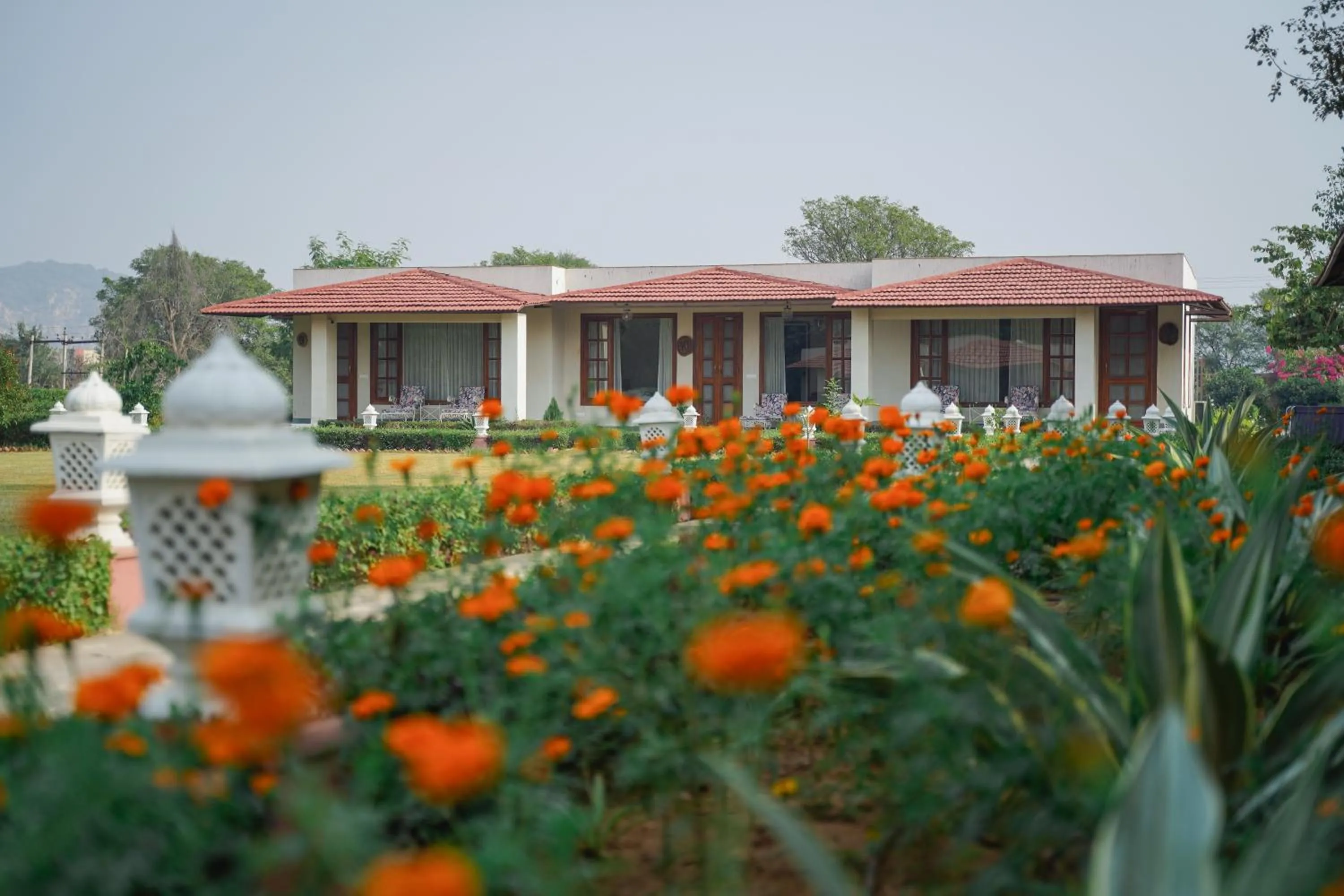 Property building in Sariska Safari Lodge