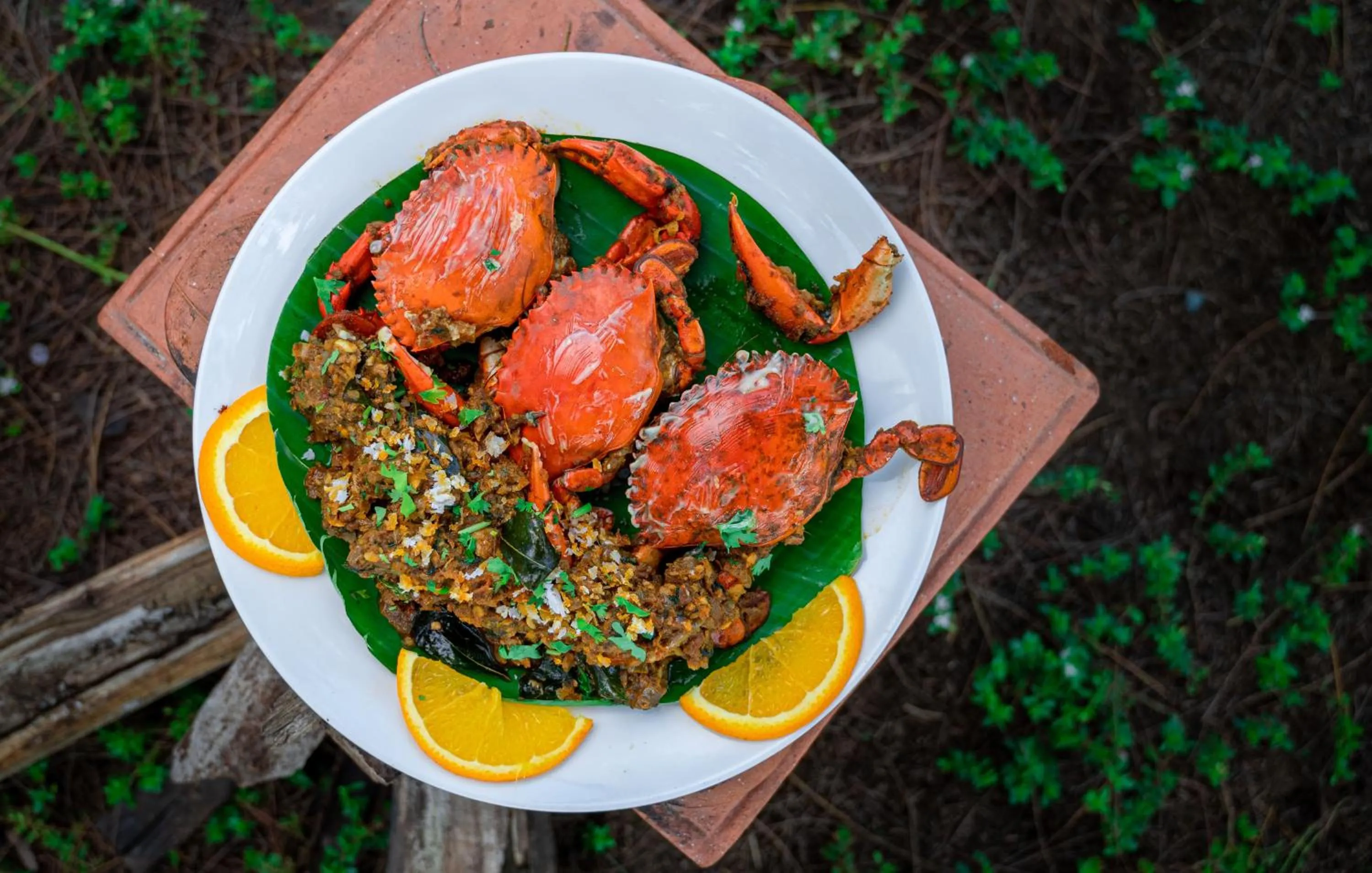 Food in Lotus an Eco Beach Resort Dapoli Murud