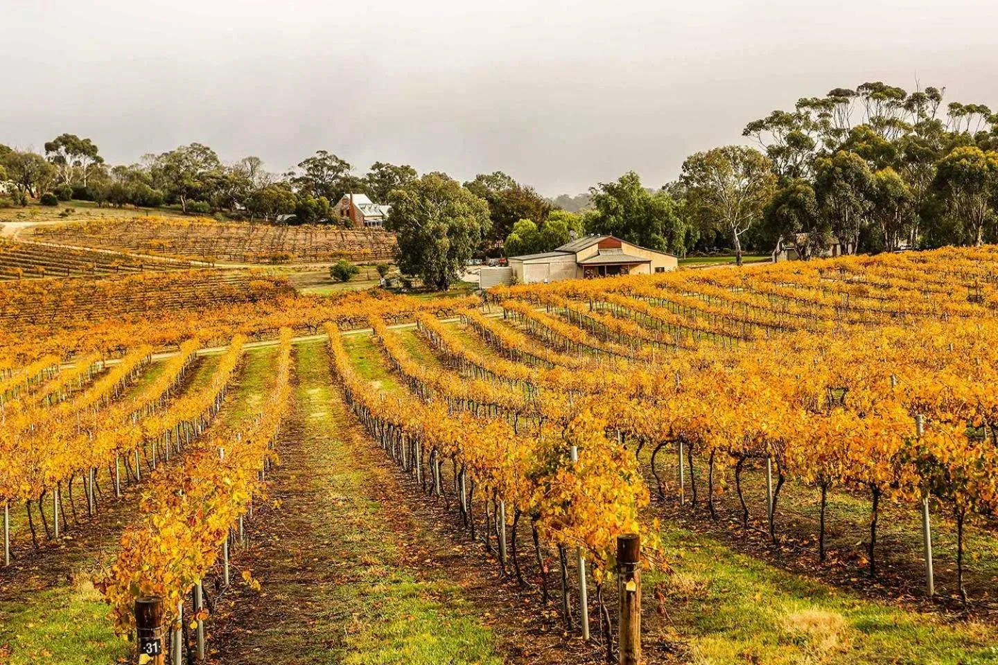 View (from property/room) in The Louise