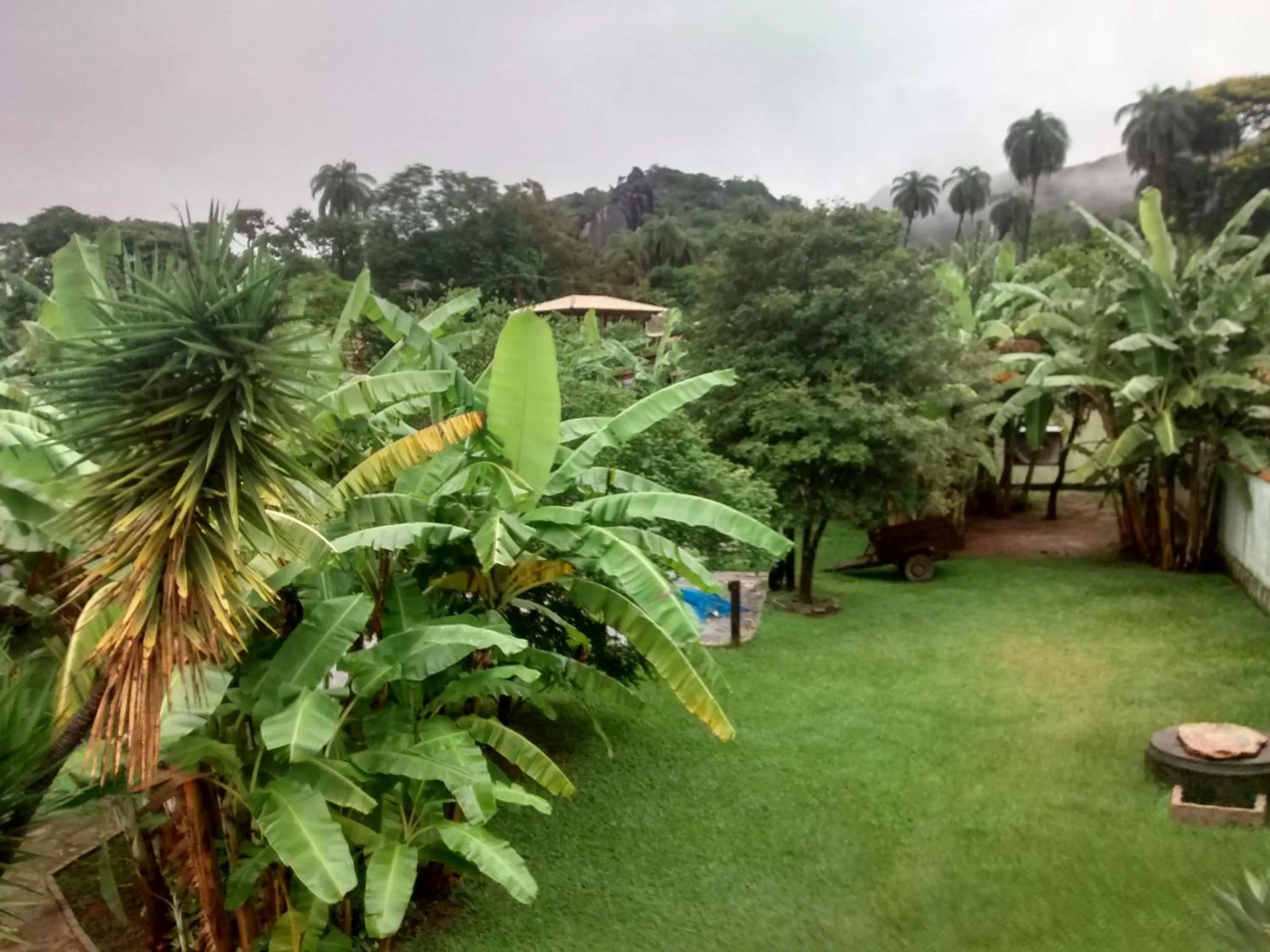 Garden view in Pousada Banana Cipó