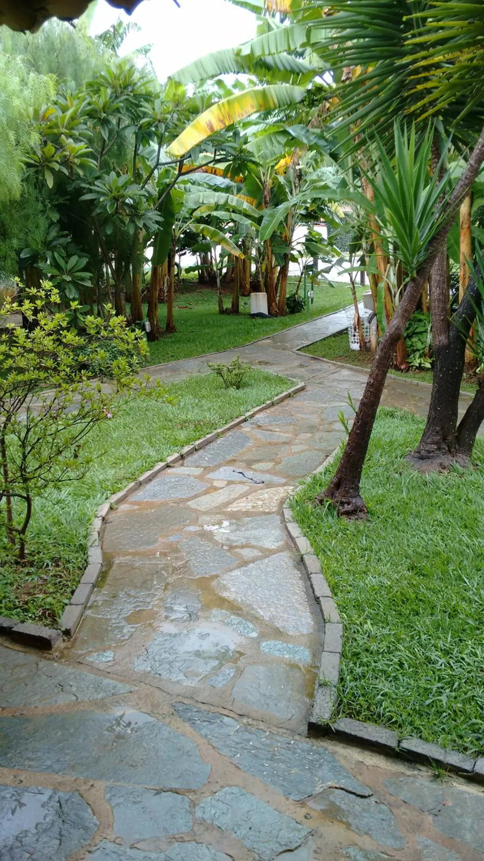 Garden view in Pousada Banana Cipó