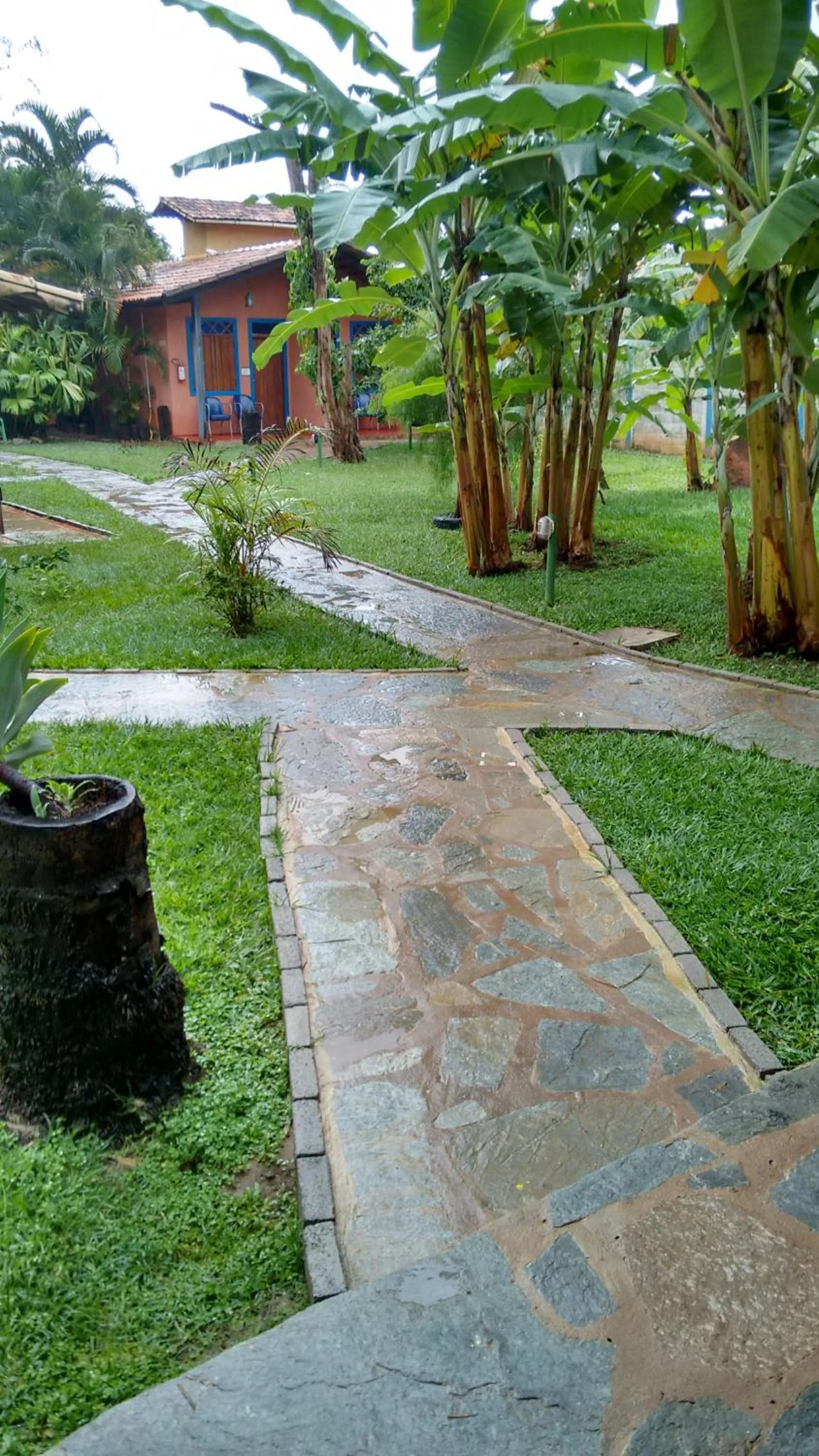 Garden in Pousada Banana Cipó