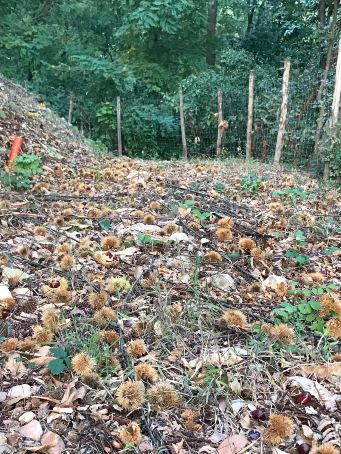 Area and facilities in LE LANTERNE