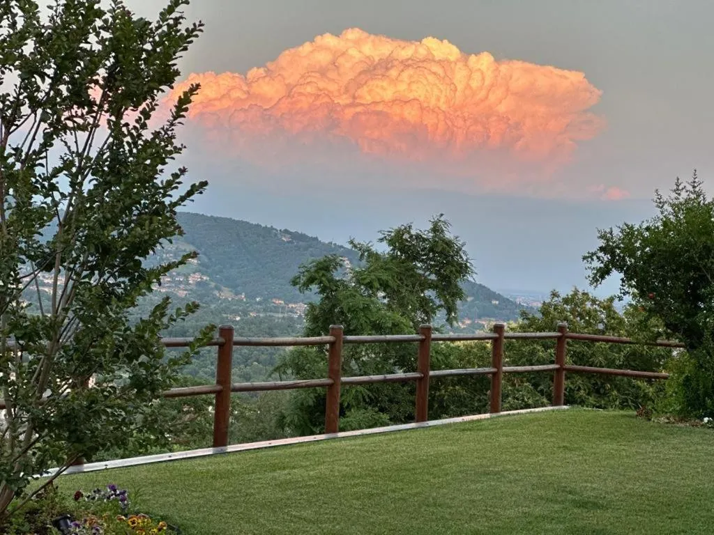 Garden in LE LANTERNE