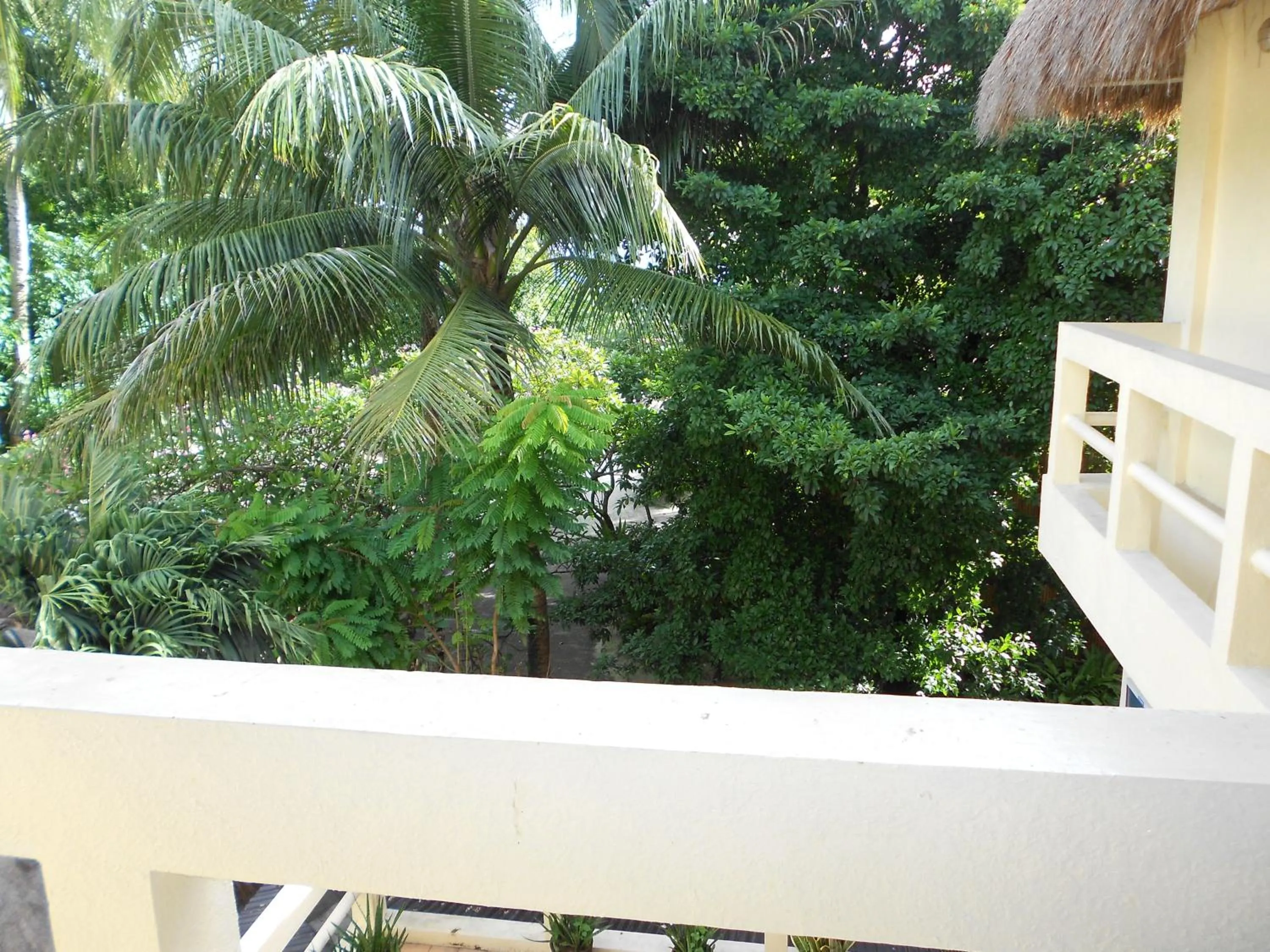 Garden view in Sea Wind Resort