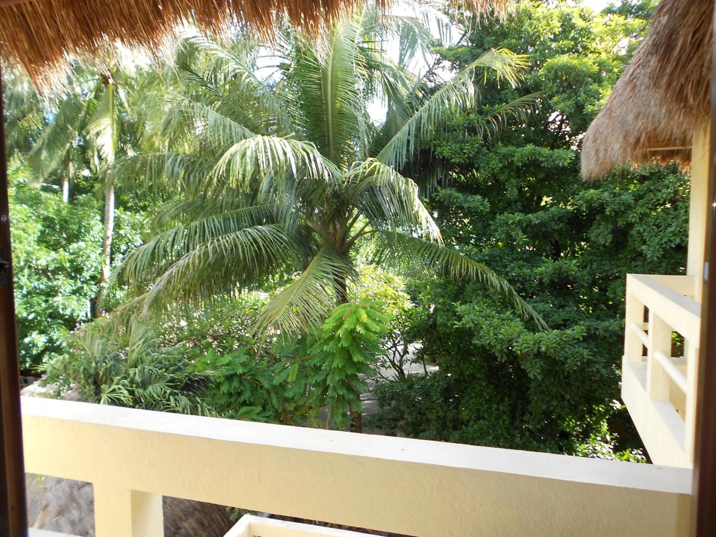 Garden view in Sea Wind Resort