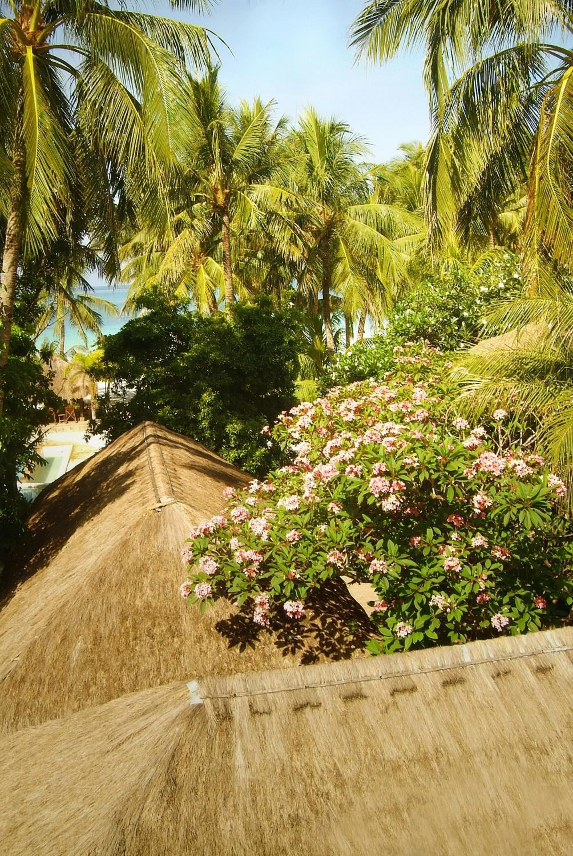 Sea view in Sea Wind Resort