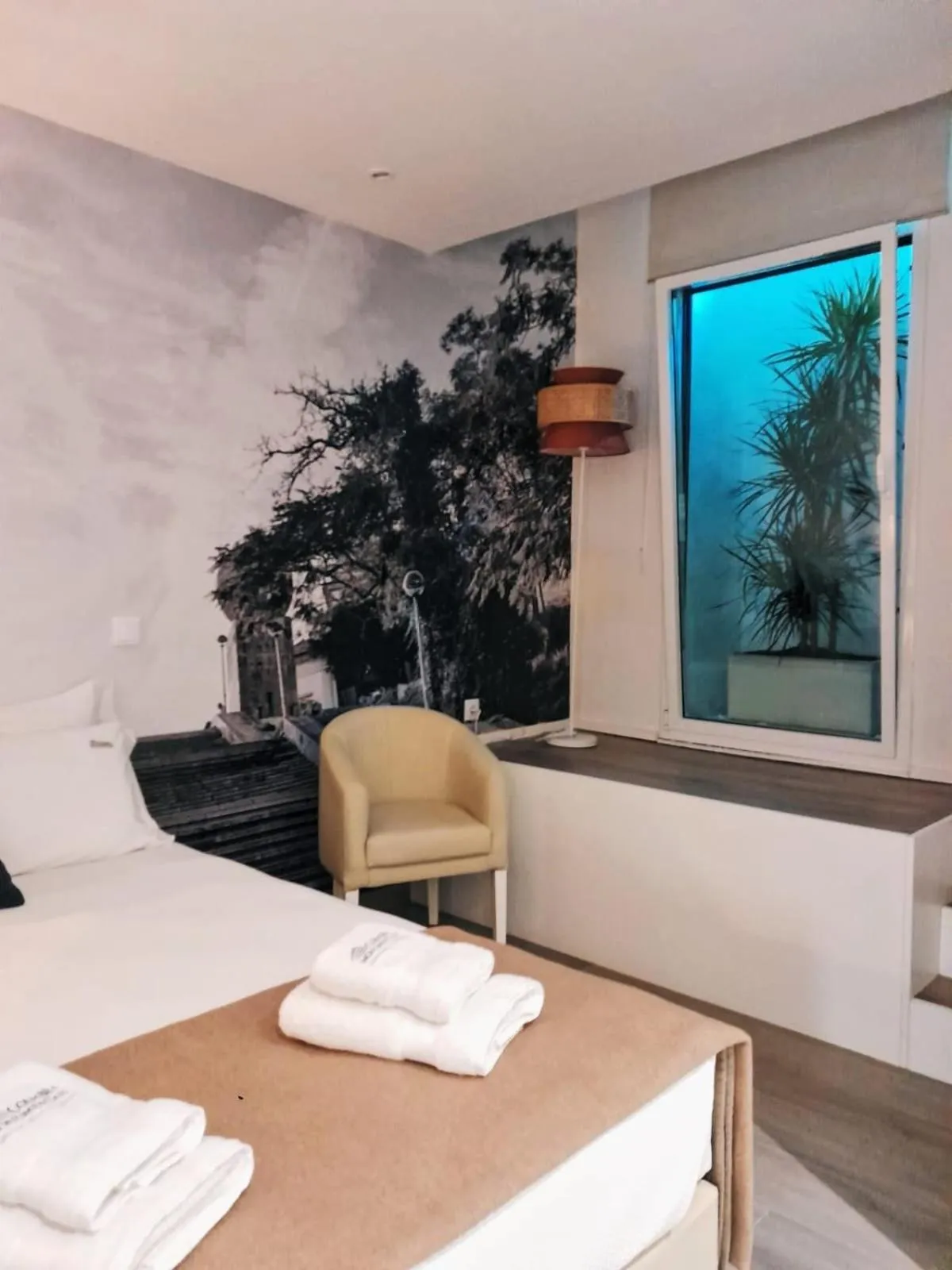 Coimbra Monumentais B&B