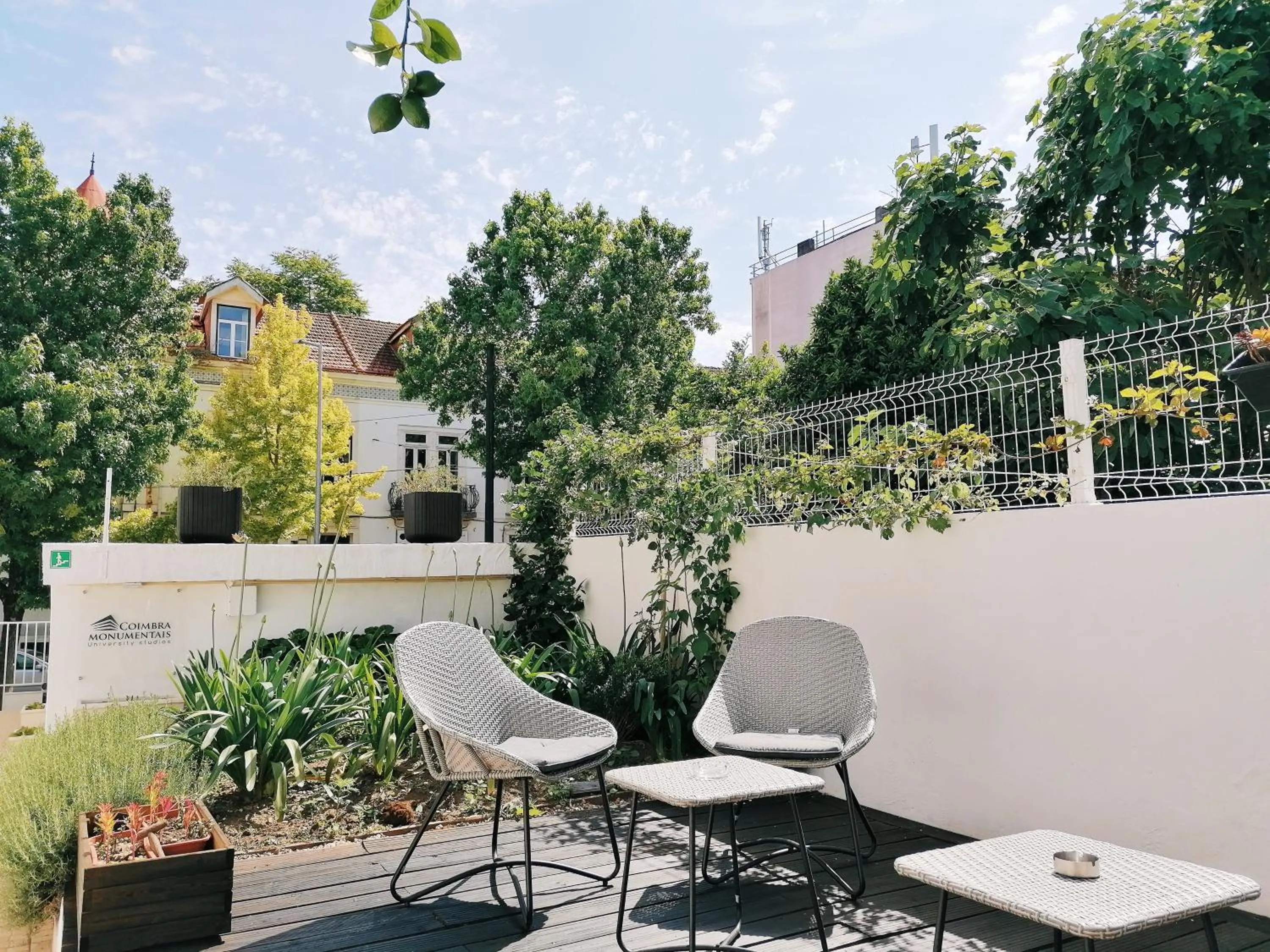 Garden in Coimbra Monumentais B&B