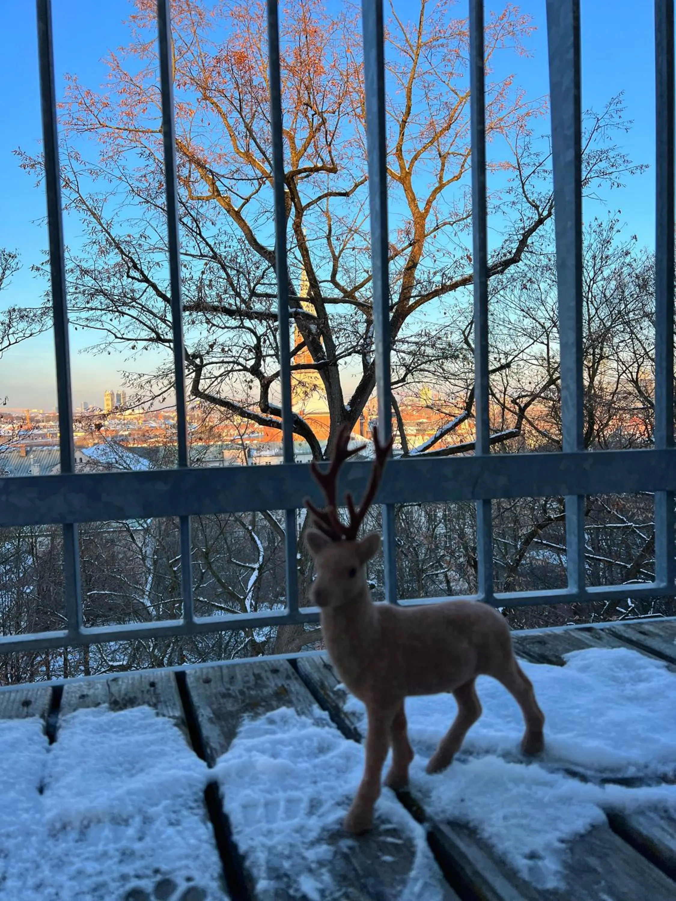 Quiet street view in Hotel Prinz