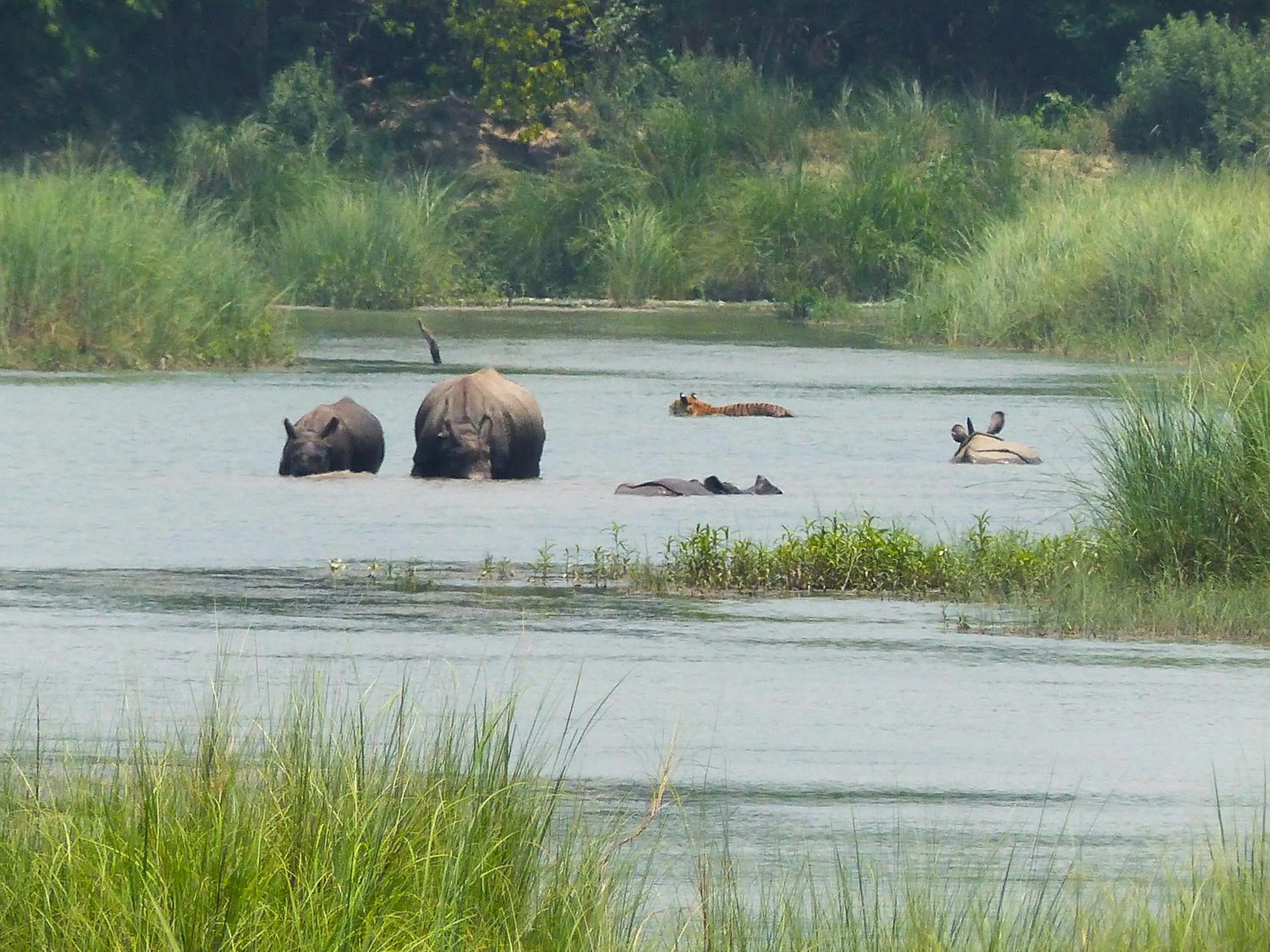 Property building in Babai Resort Pvt Ltd