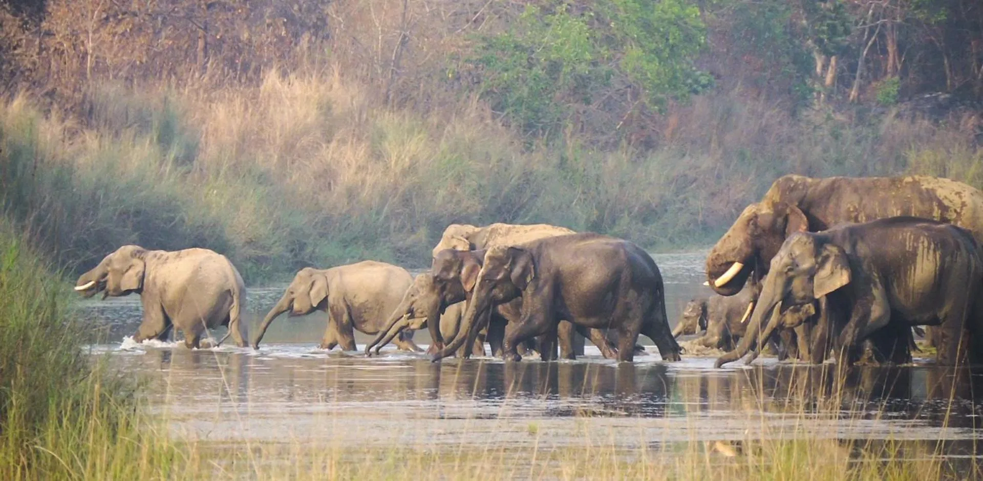 Property building in Babai Resort Pvt Ltd