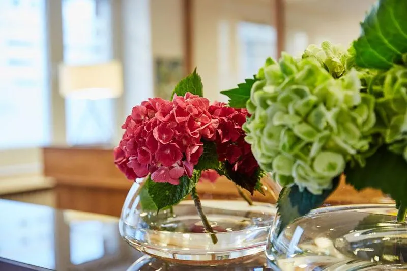 Other in Hotel Imperial Düsseldorf Superior - Sure Collection by Best Western