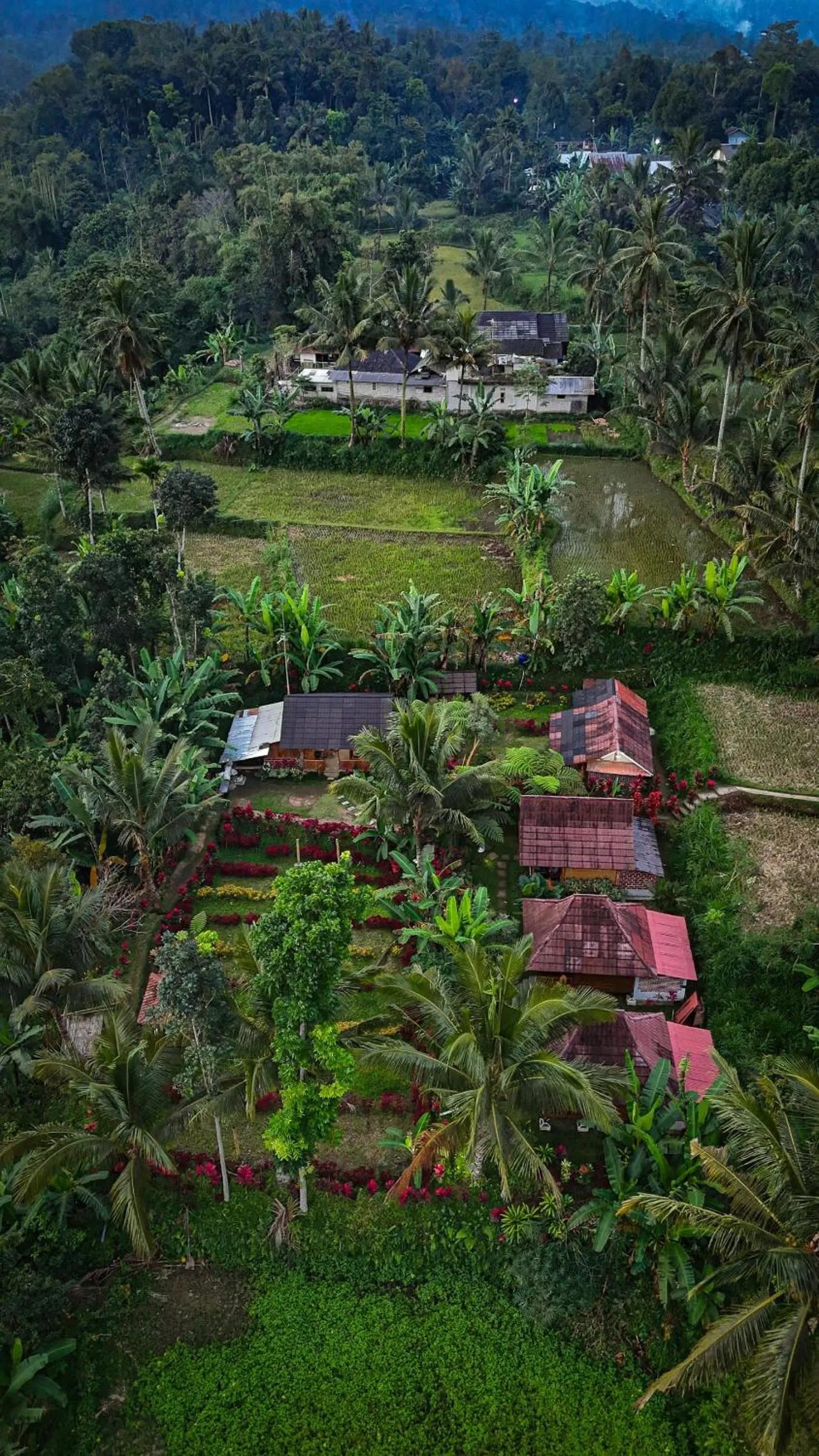 Wina Wani Bungalows Tetebatu