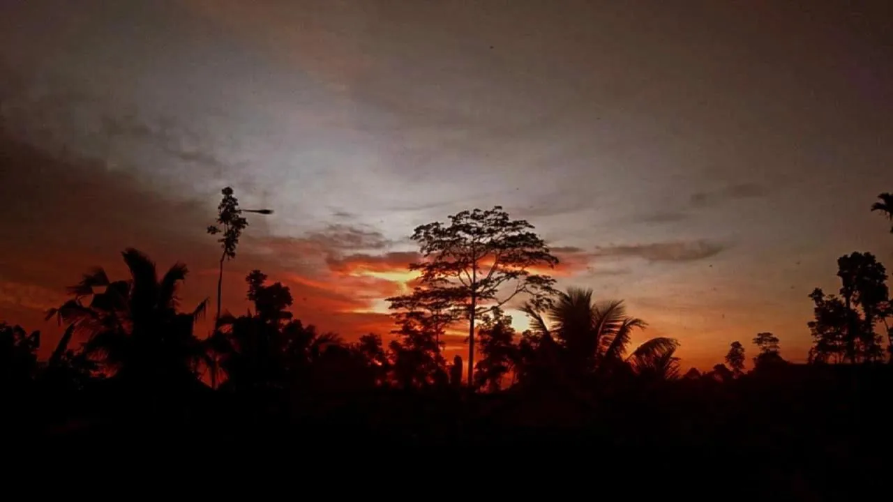 Wina Wani Bungalows Tetebatu