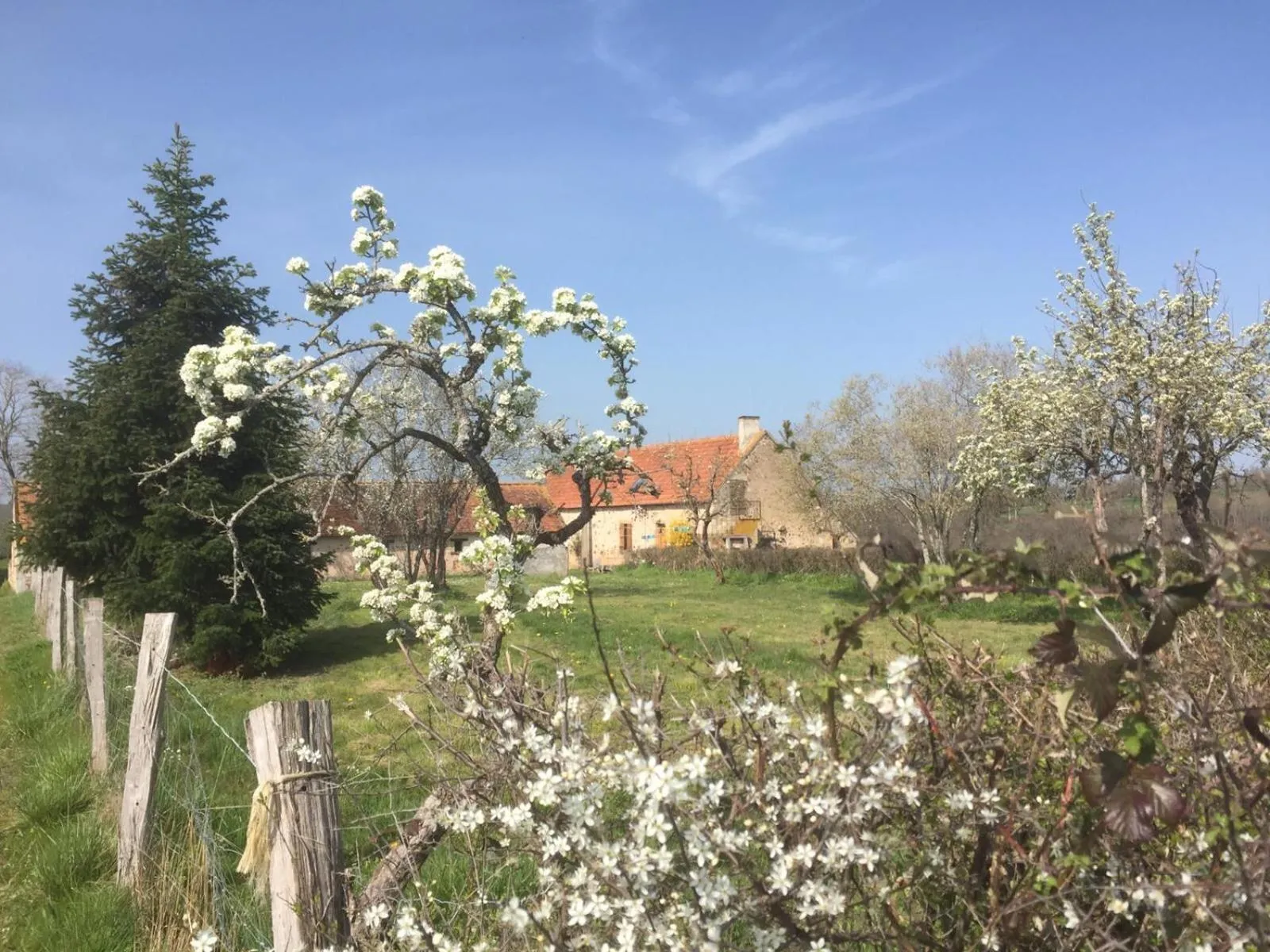 chambres d'hôtes Domaine les Grands Pérons