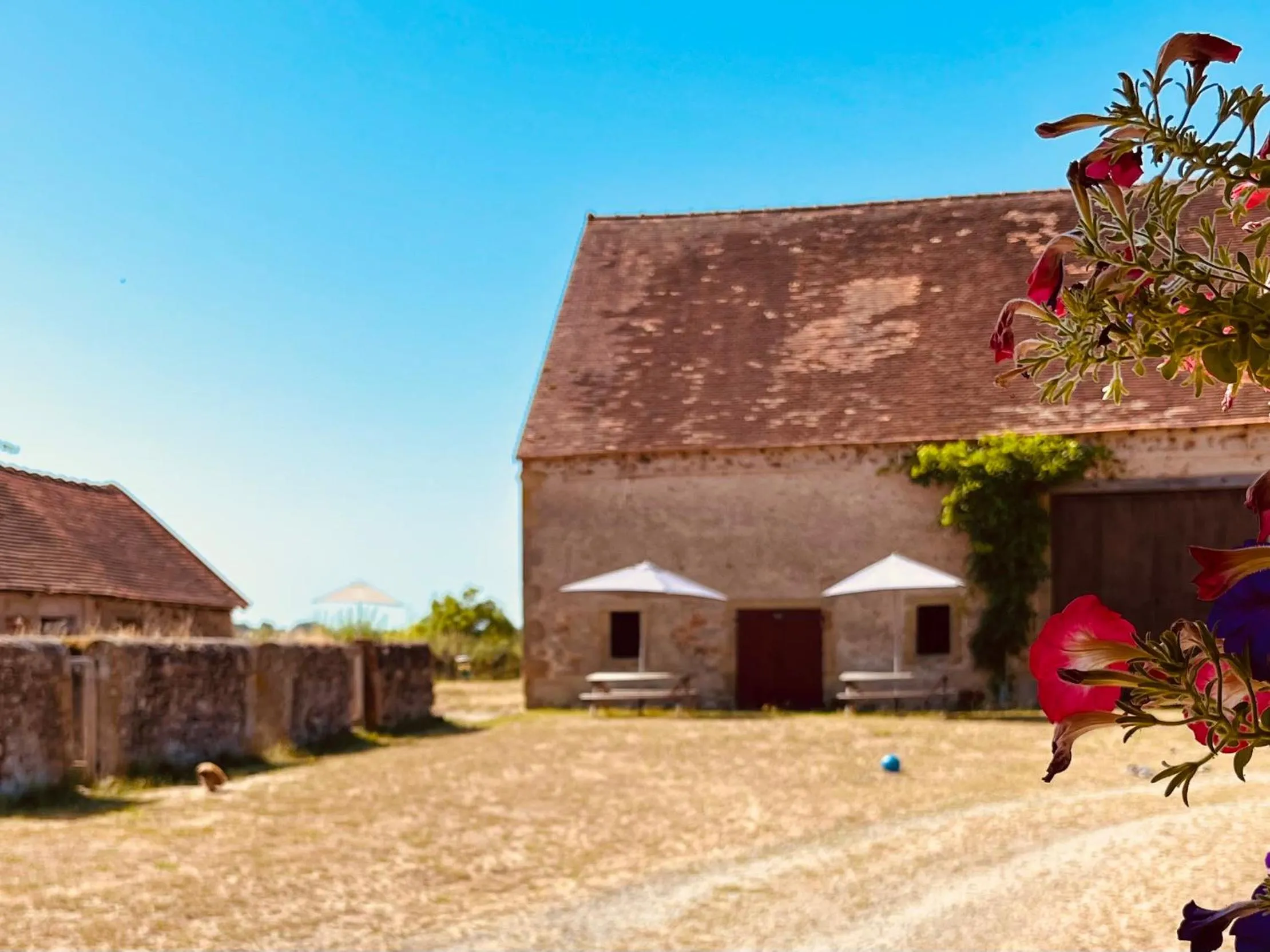 Garden in chambres d'hôtes Domaine les Grands Pérons