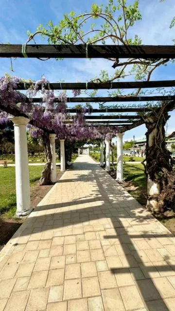 Hotel Villa Inés Mendoza