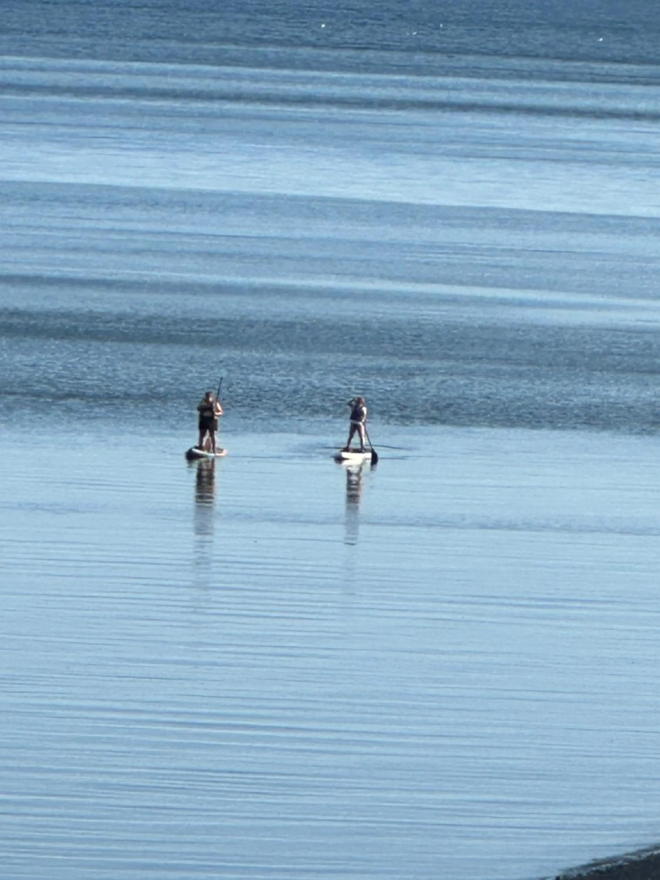 Motel Carleton Sur Mer