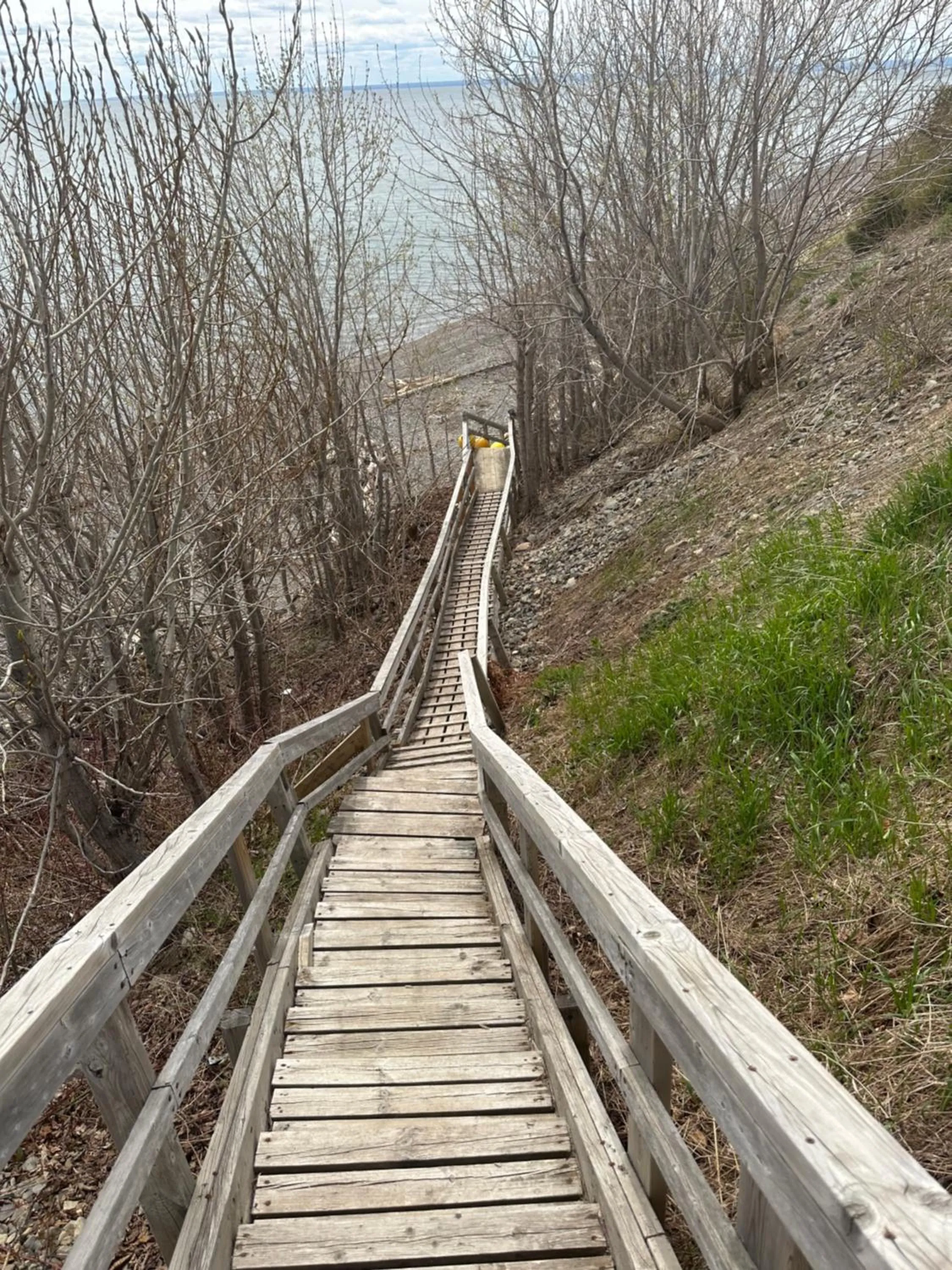 Natural landscape in Motel Carleton Sur Mer