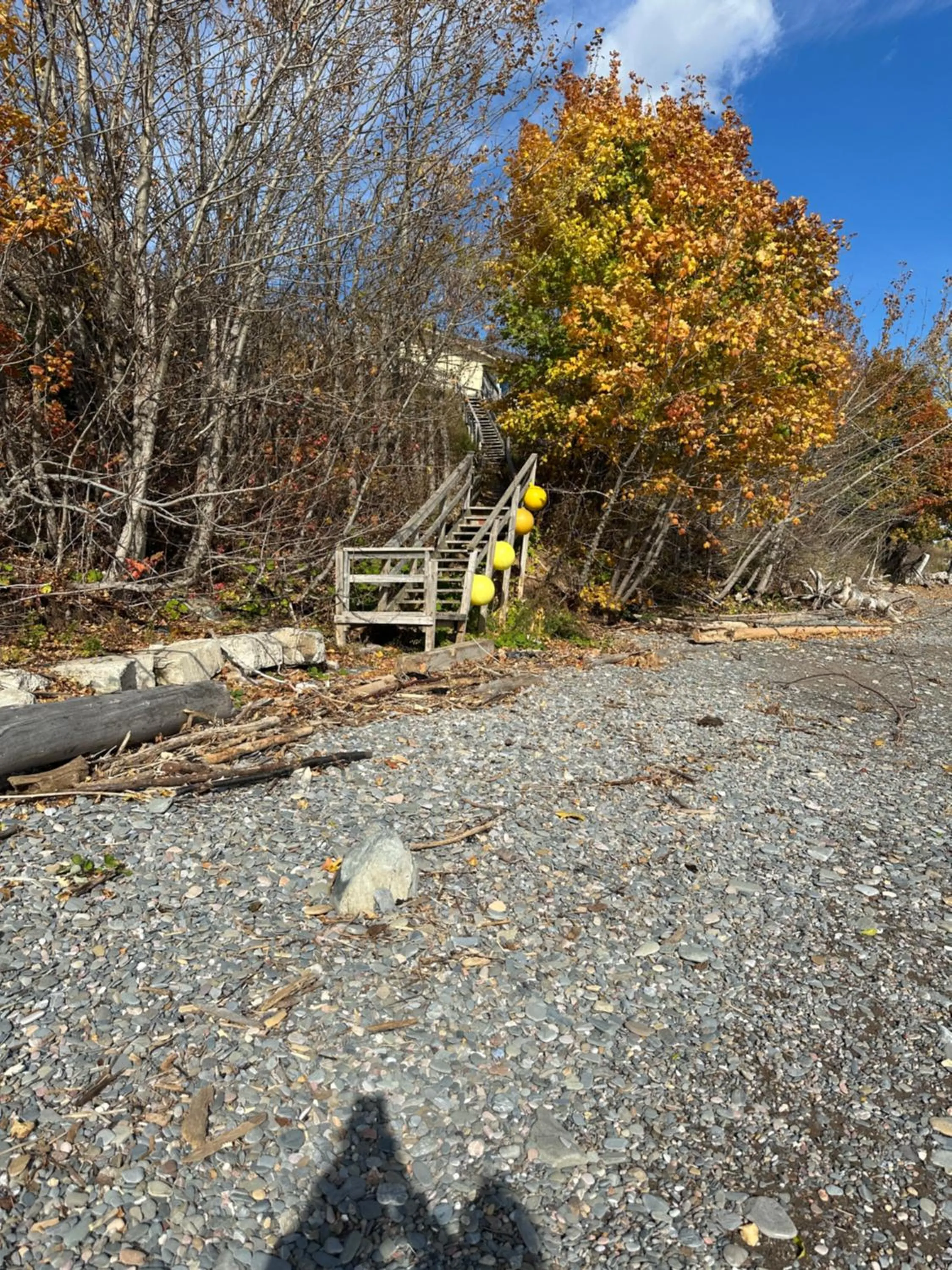 Beach in Motel Carleton Sur Mer