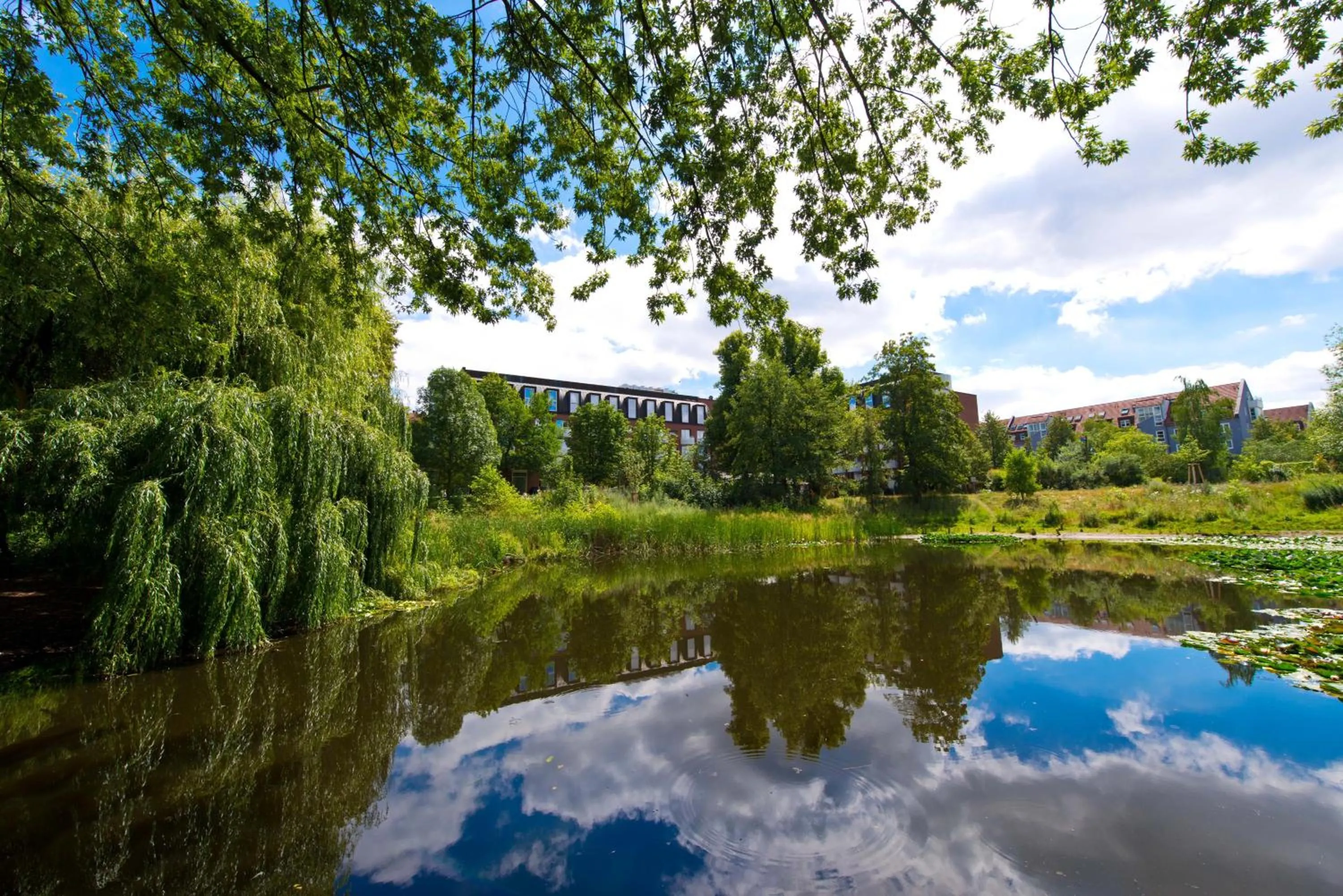 Lake view in Living Hotel Weißensee