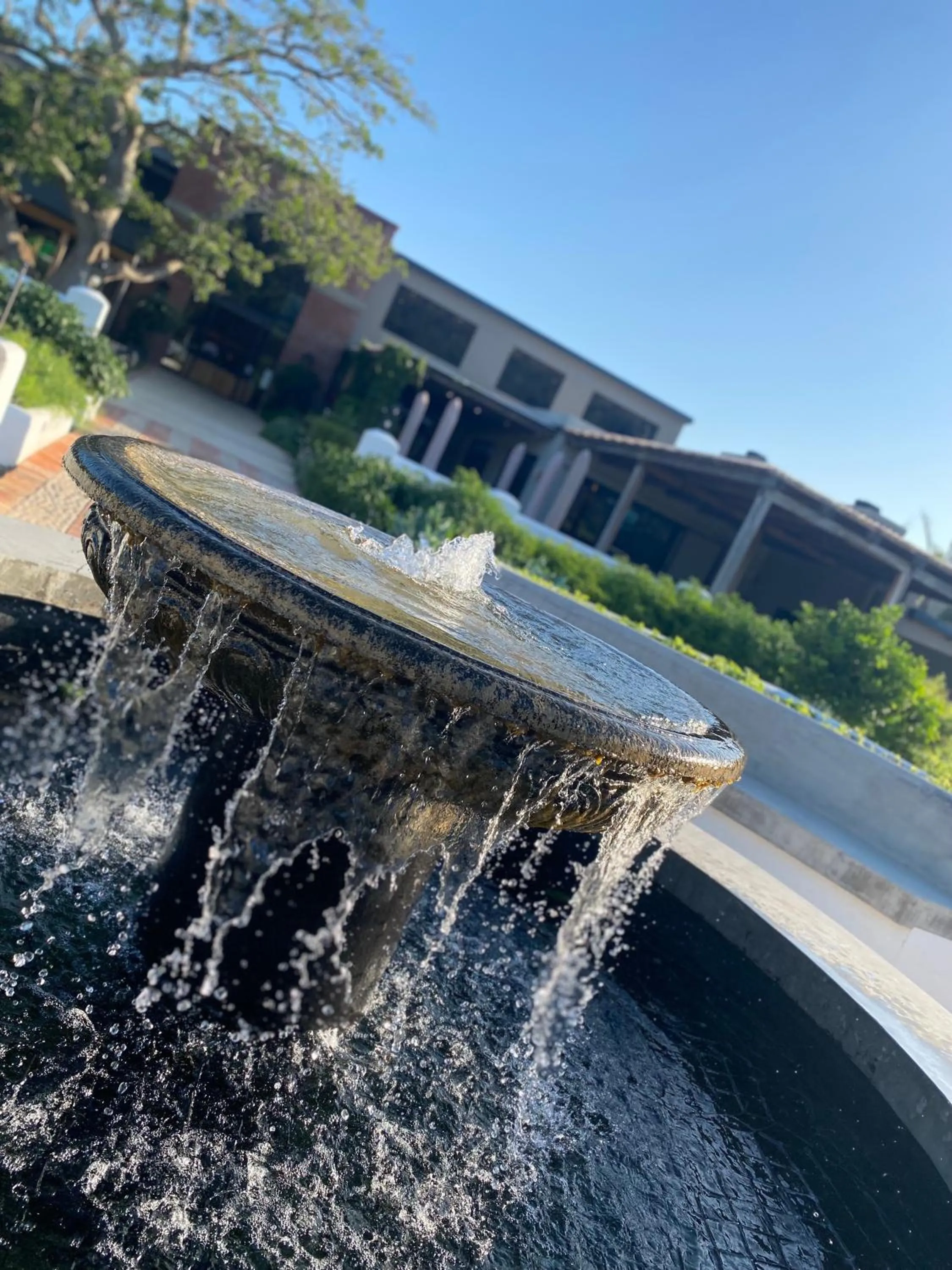 Garden in Barrington's