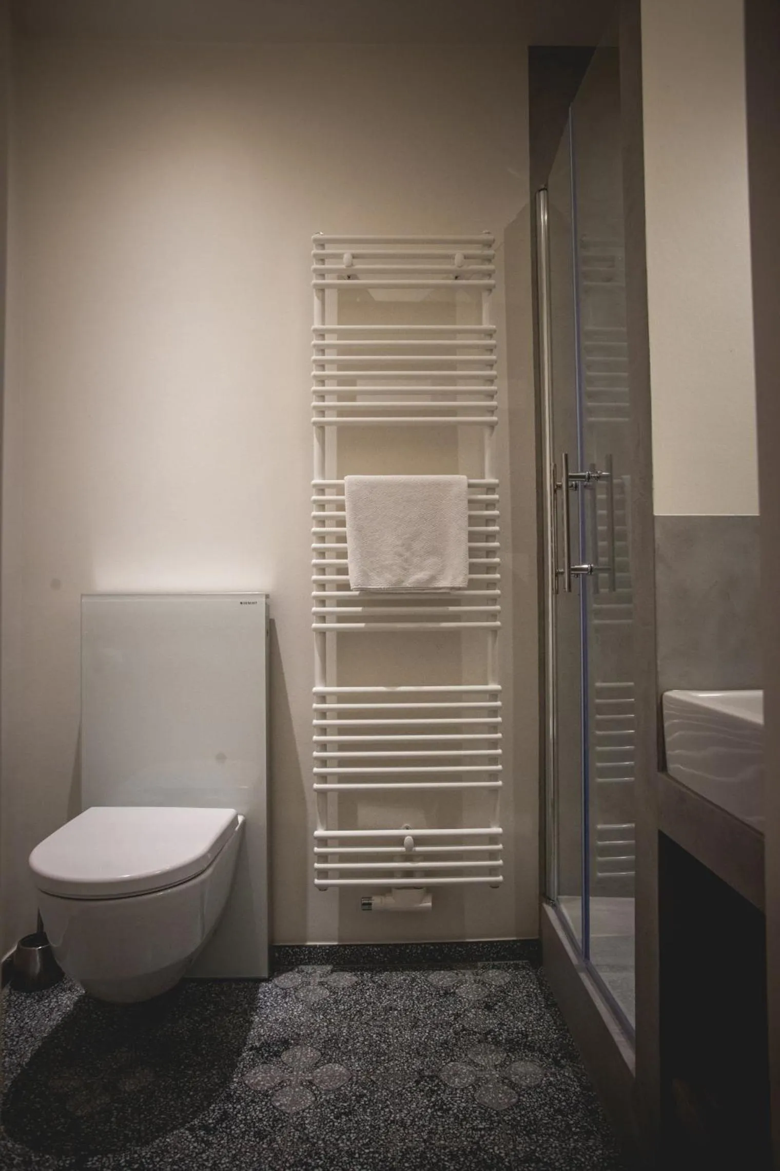 Shower in Hotel Alexander