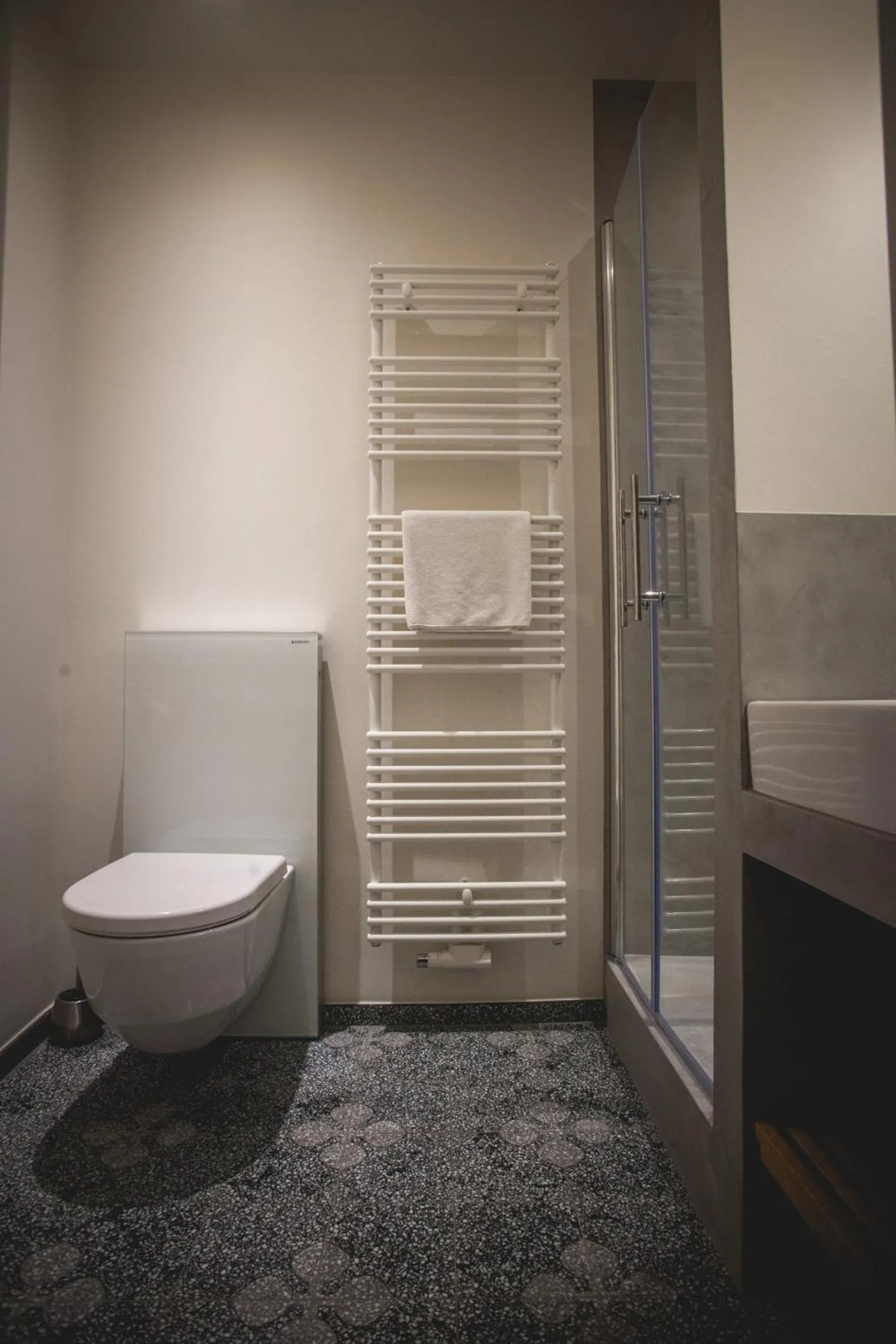 Shower in Hotel Alexander