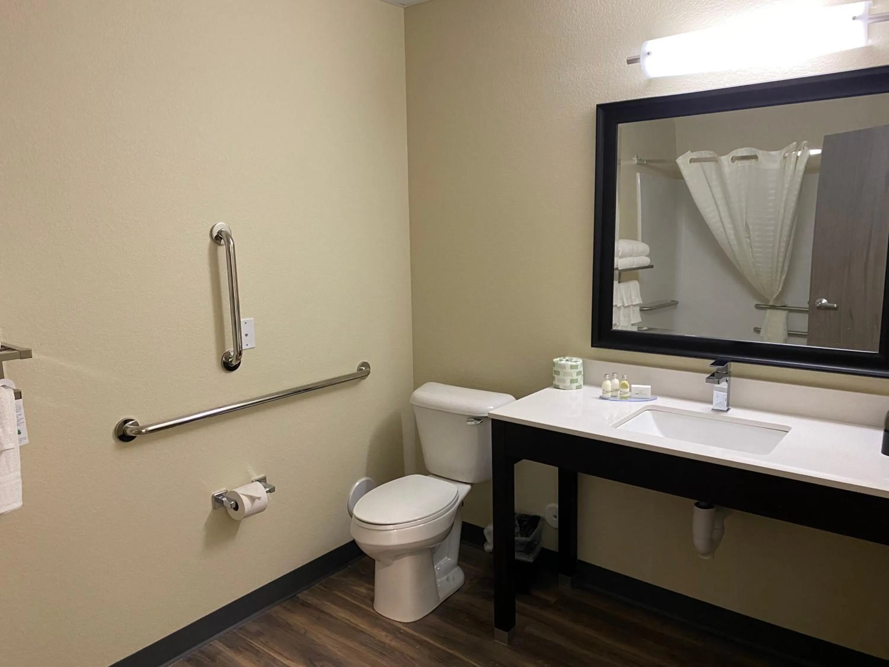 Bathroom in Cobblestone Inn & Suites - Forest City