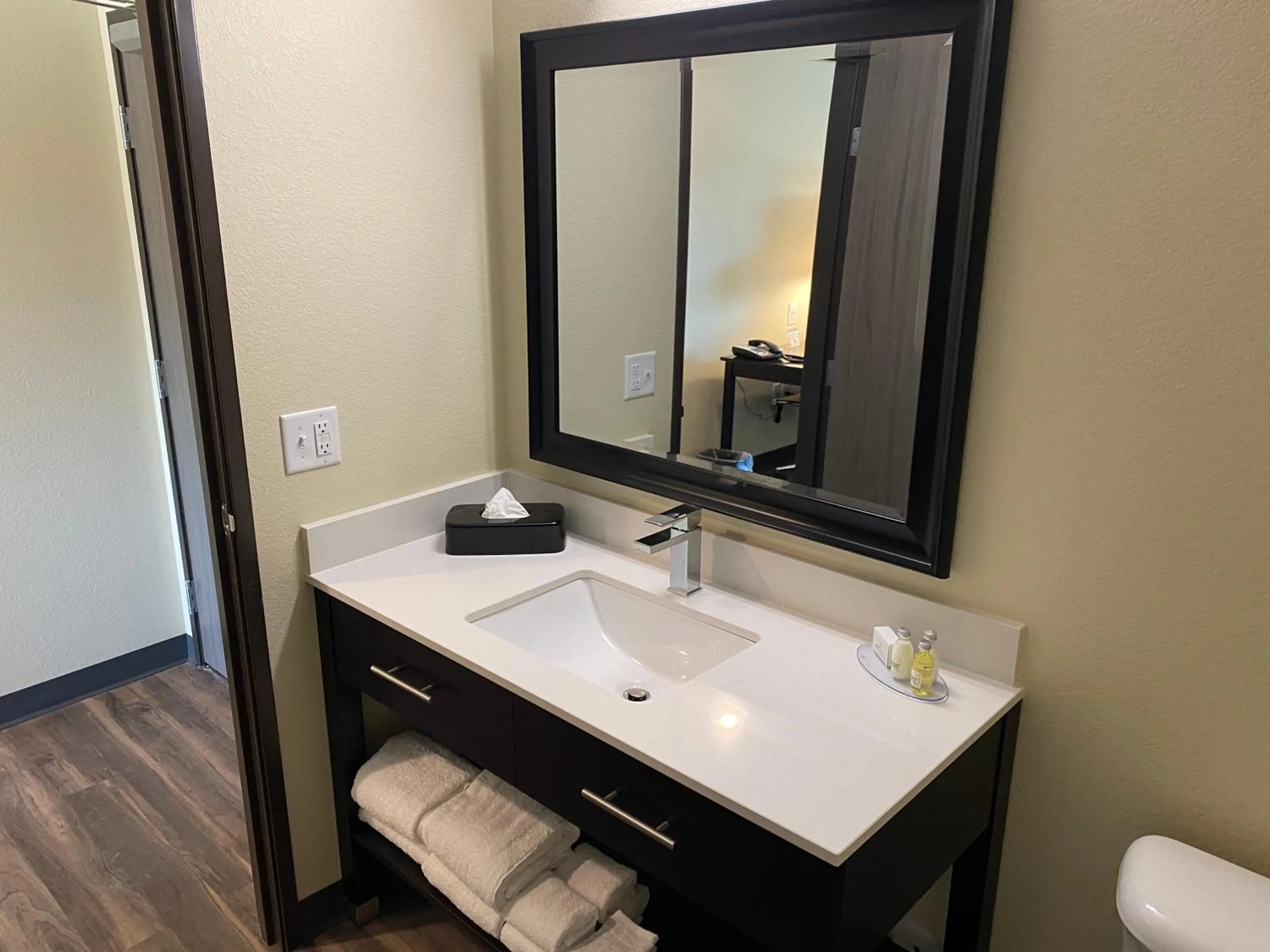 Bathroom in Cobblestone Inn & Suites - Forest City