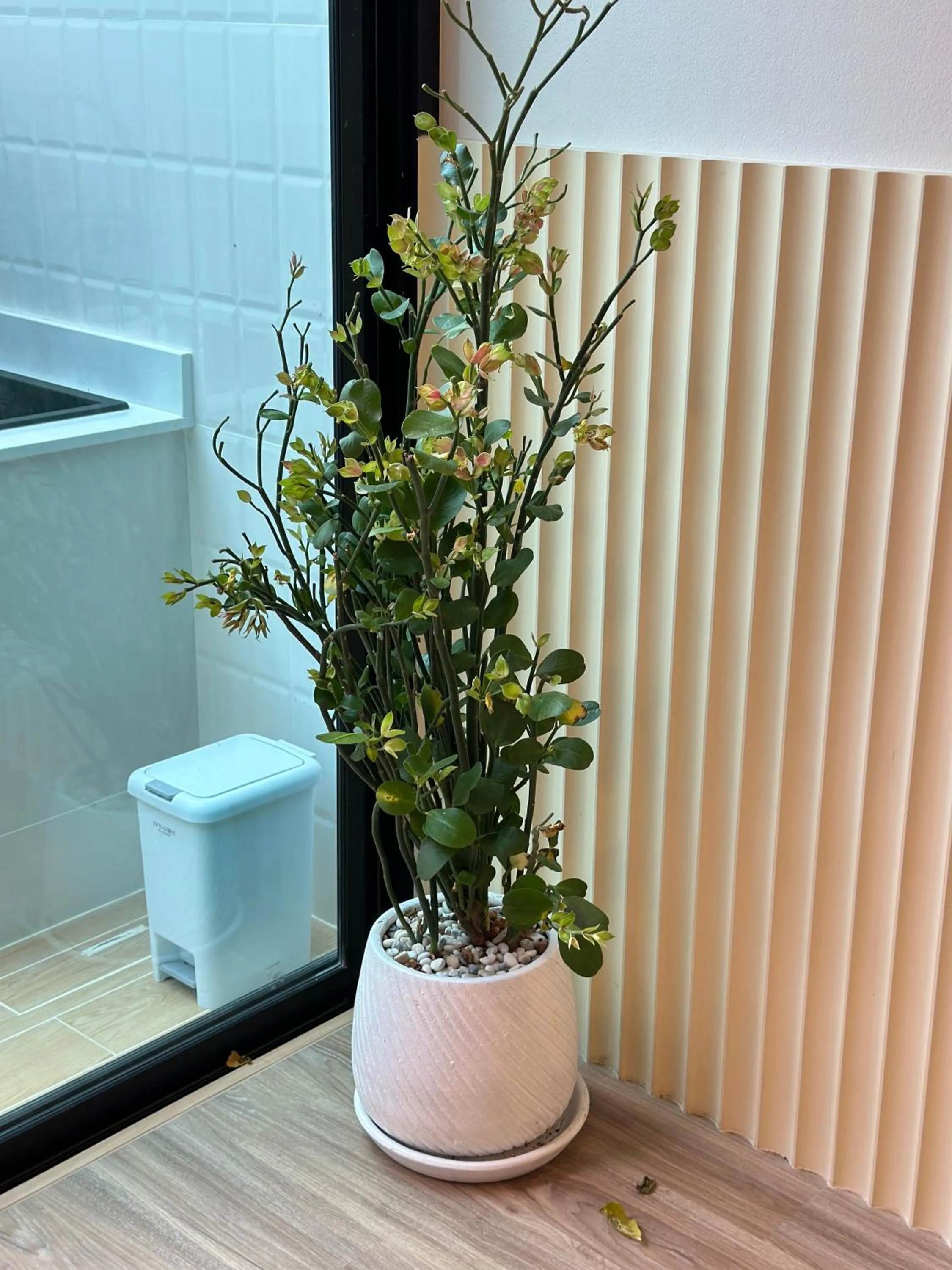 Dining area in PaperPlaneCNX @ Haiya - 3 Storey Flowery Loft