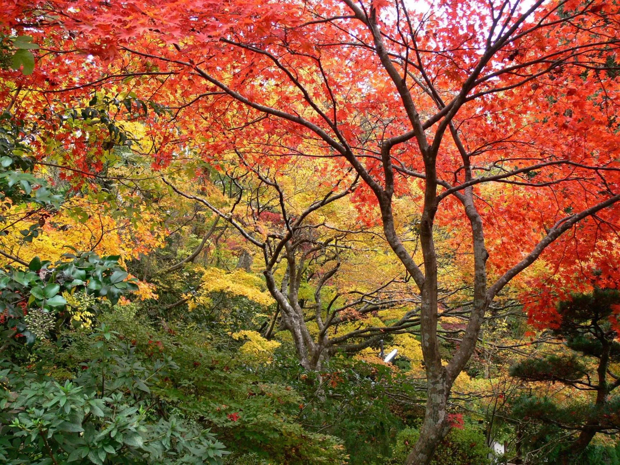 Natural landscape in Takanosukan