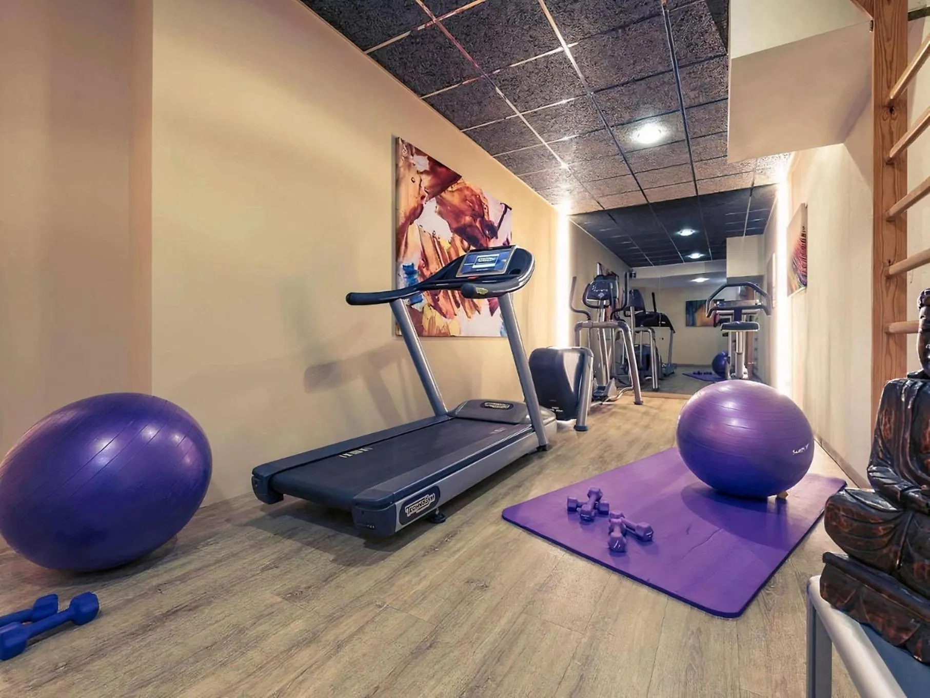 Fitness centre/facilities in PLAZA INN Regensburg